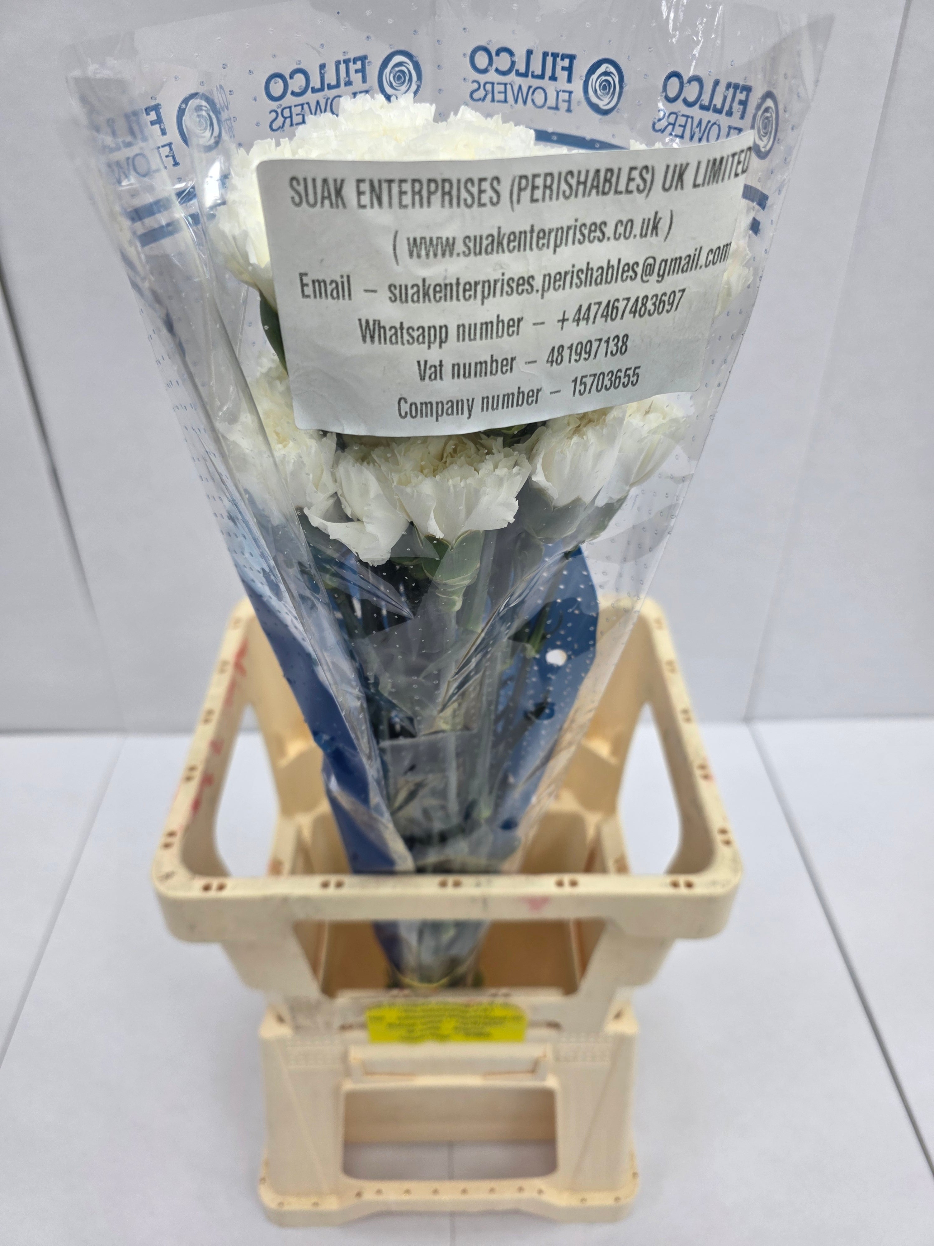 Farm Fresh Carnation White(Bunch of 25 stems, Length 70cm)