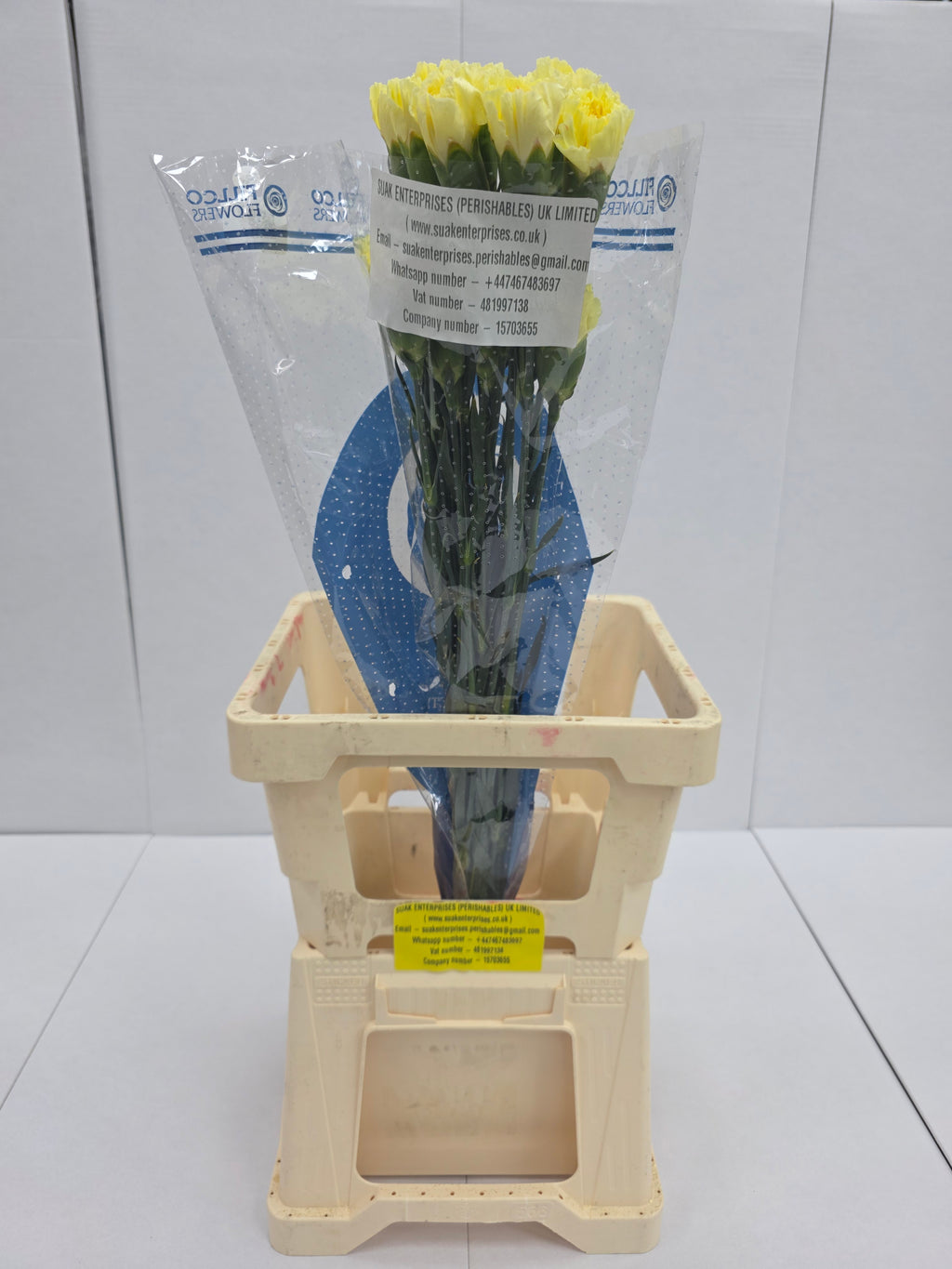 Farm Fresh Carnation Yellow(Bunch of25 stems, Length 70cm)