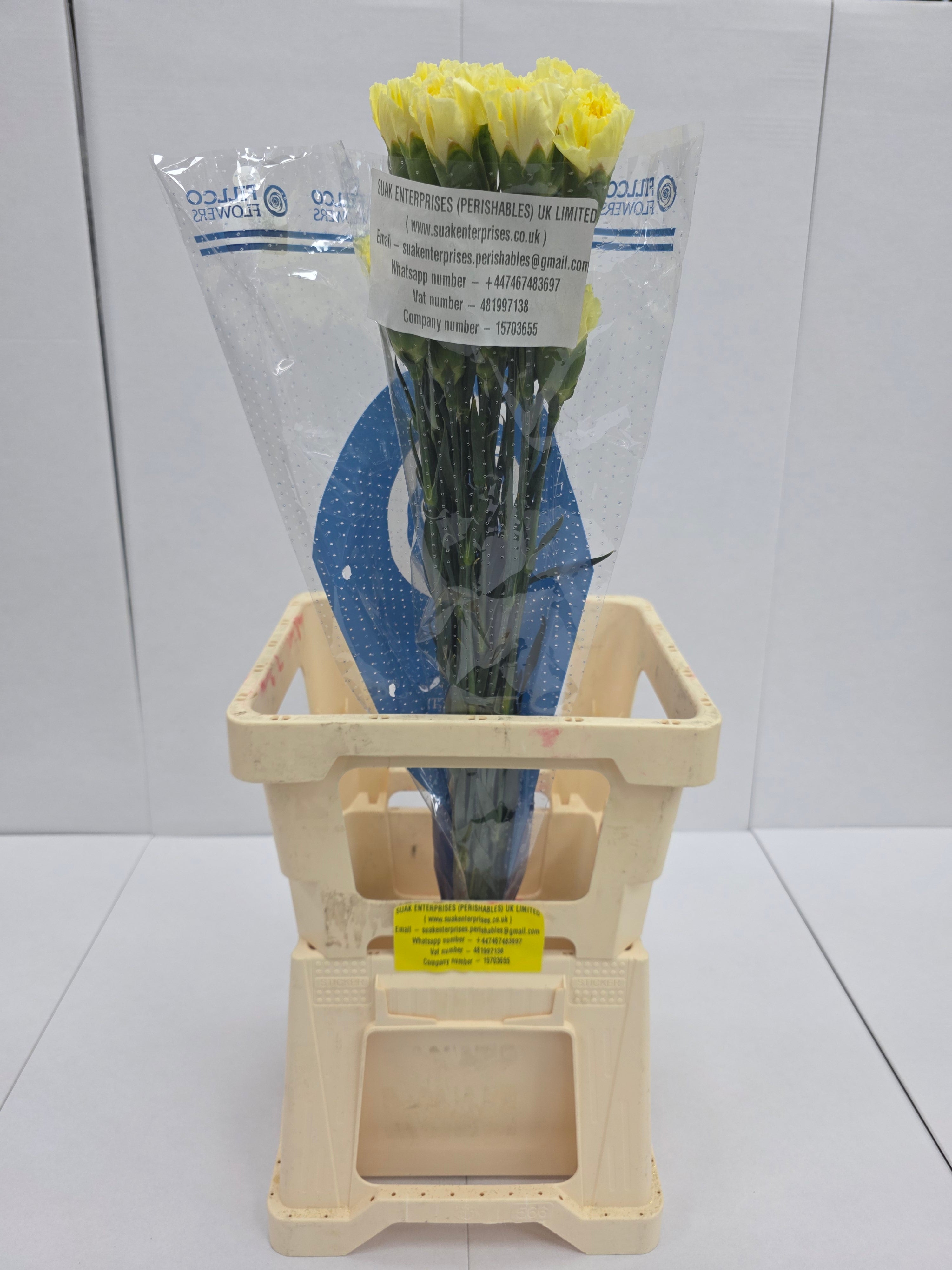 Farm Fresh Carnation Yellow(Bunch of25 stems, Length 70cm)