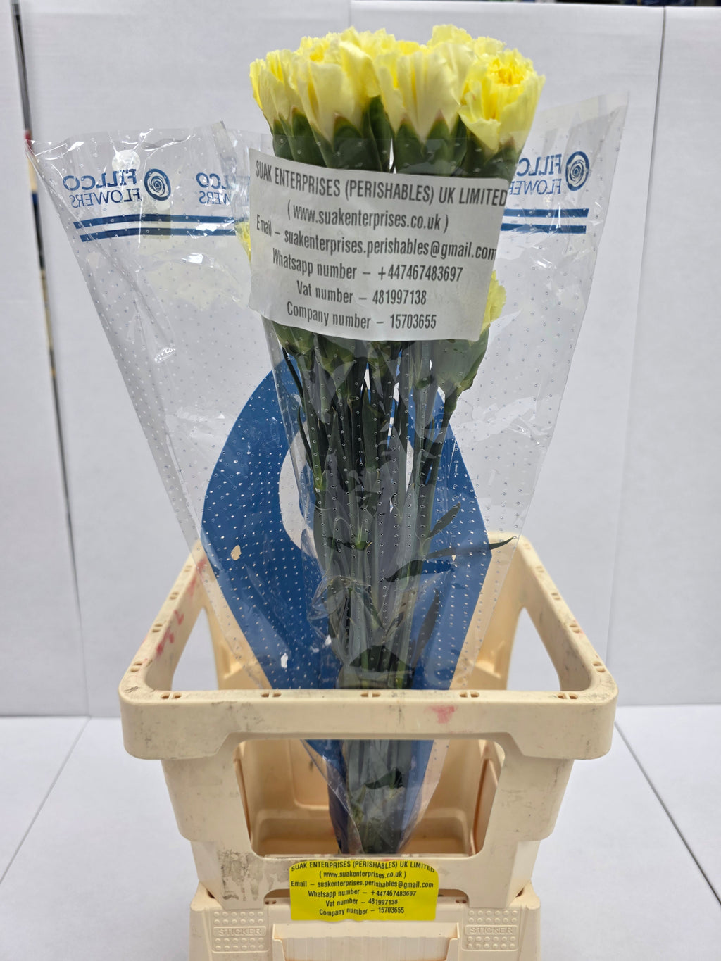 Farm Fresh Carnation Yellow(Bunch of25 stems, Length 70cm)