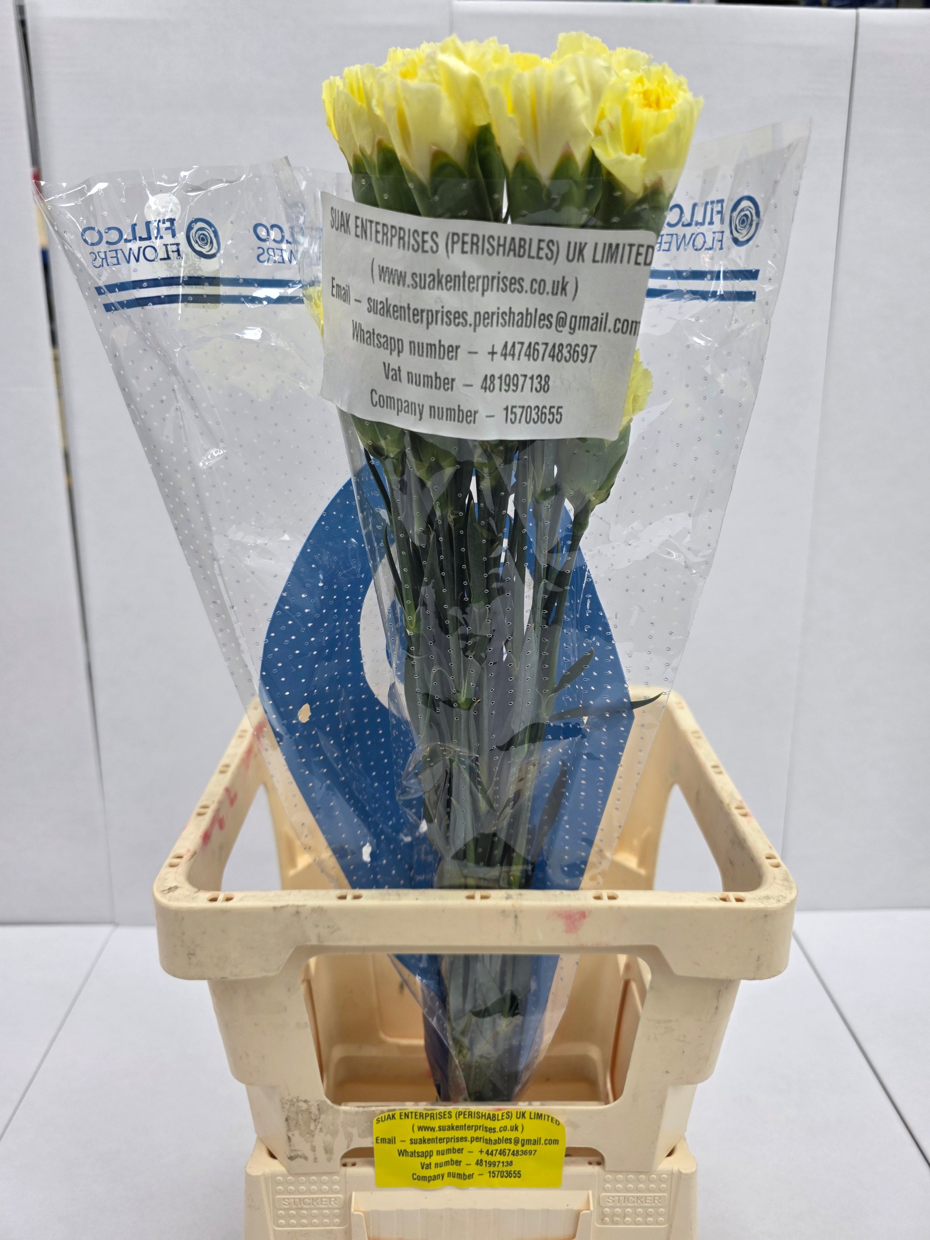 Farm Fresh Carnation Yellow(Bunch of25 stems, Length 70cm)