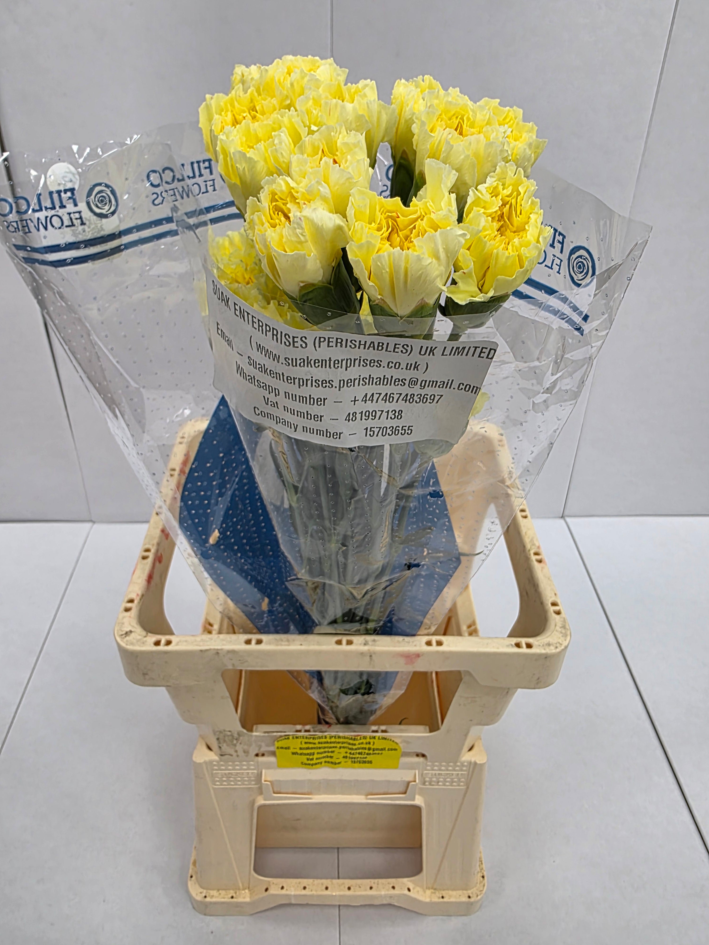 Farm Fresh Carnation Yellow(Bunch of25 stems, Length 70cm)