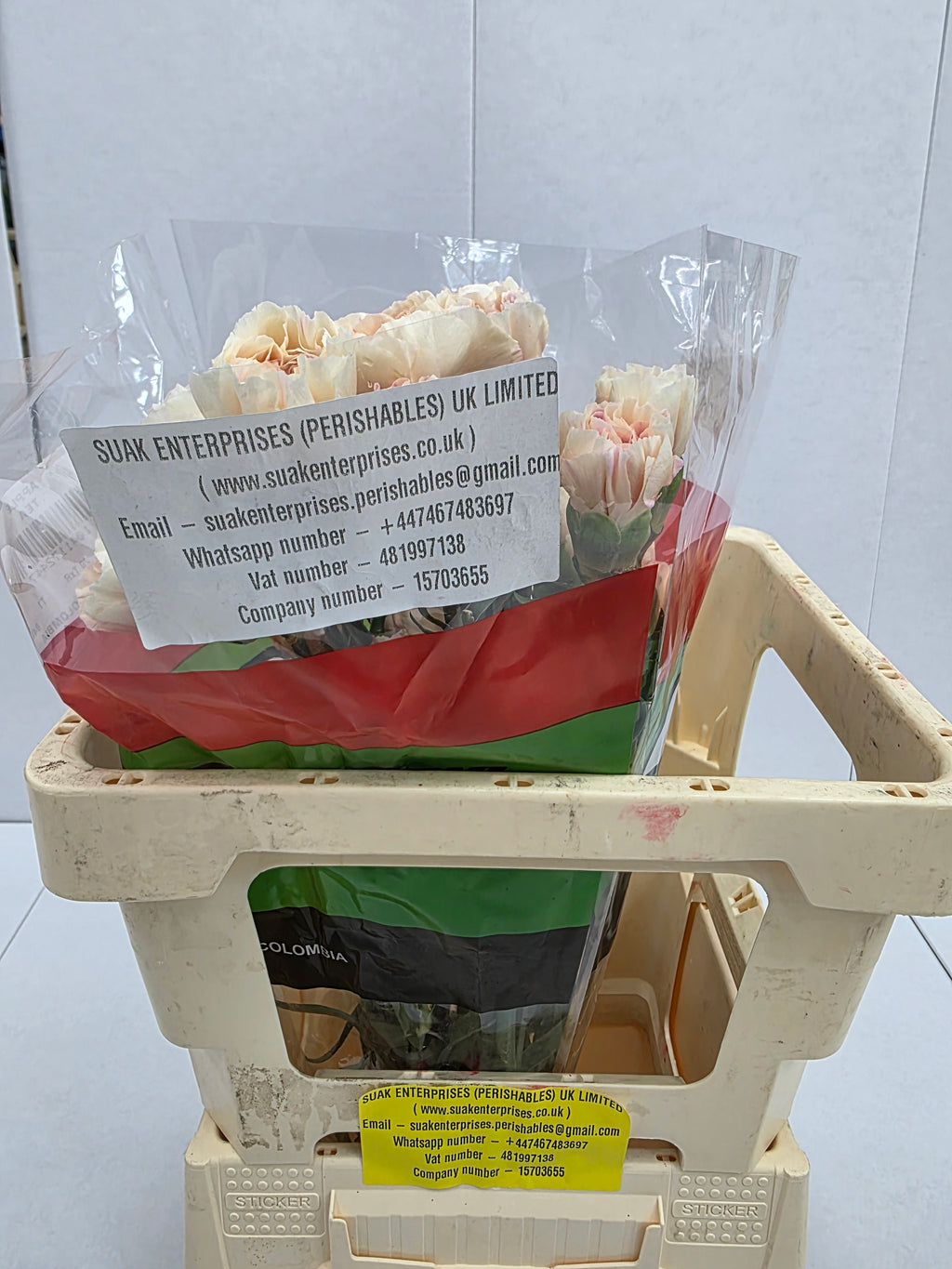 Farm Fresh Carnation Apple Tea(Bunch of 20stems, Length 70cm)