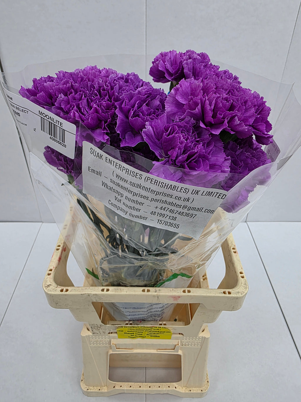 Farm Fresh Carnation Moonlite (Bunch of 20 units, Length 70cm)