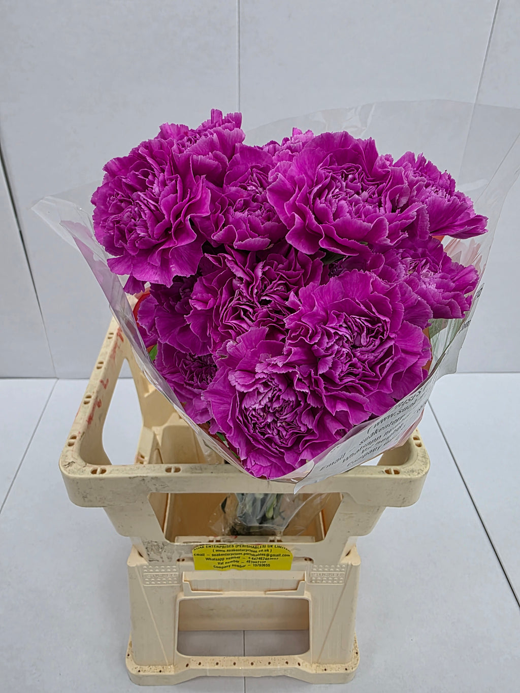 Farm Fresh Carnation Farida(Bunch of 20 stems,Length  70cm)