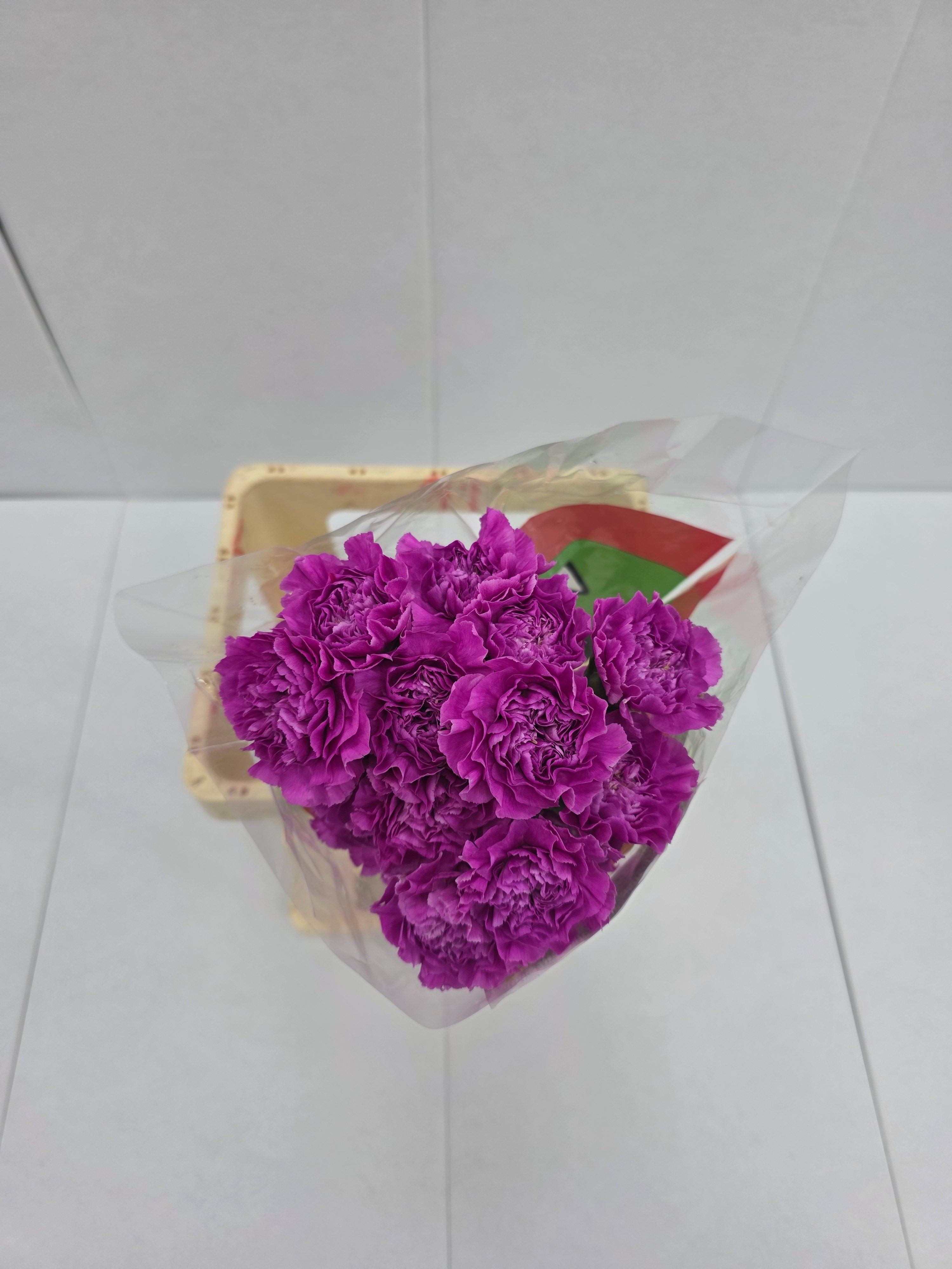 Farm Fresh Carnation Farida(Bunch of 20 stems,Length  70cm)