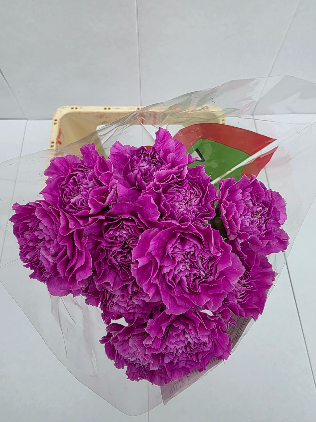 Farm Fresh Carnation Farida(Bunch of 20 stems,Length  70cm)