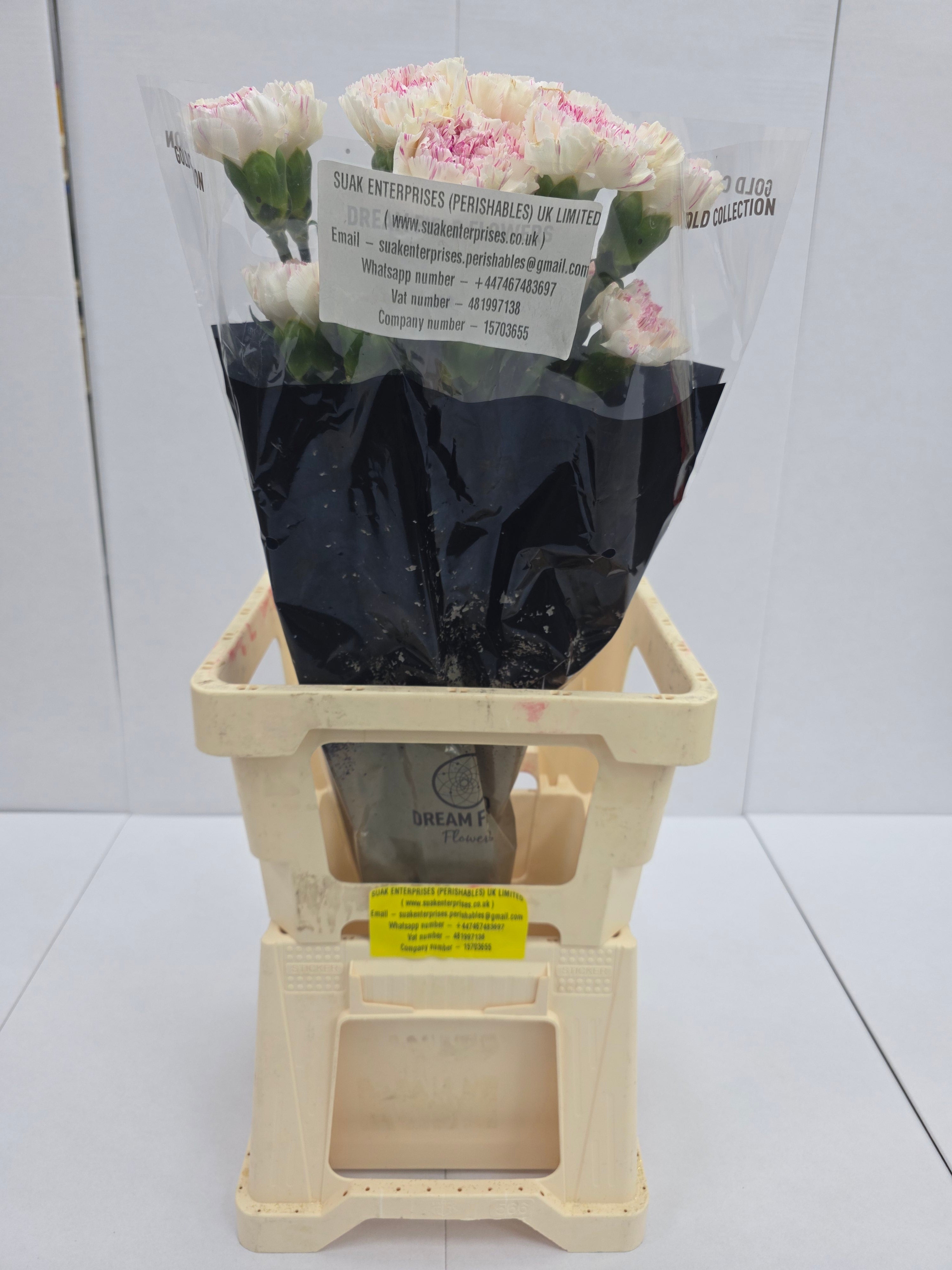 Farm Fresh Carnation Yucari Cherry(Bunch of 20stems, Length 60-70cm)