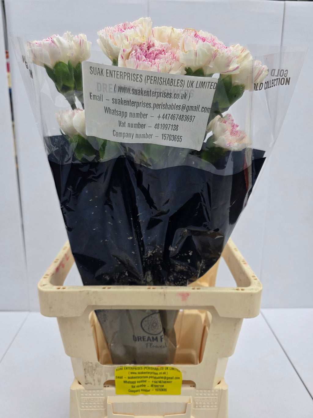 Farm Fresh Carnation Yucari Cherry(Bunch of 20stems, Length 60-70cm)