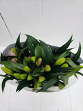 Farm Fresh Lilium Oriental Frontera 3+(Bunch of 10stems,Length 85cm)