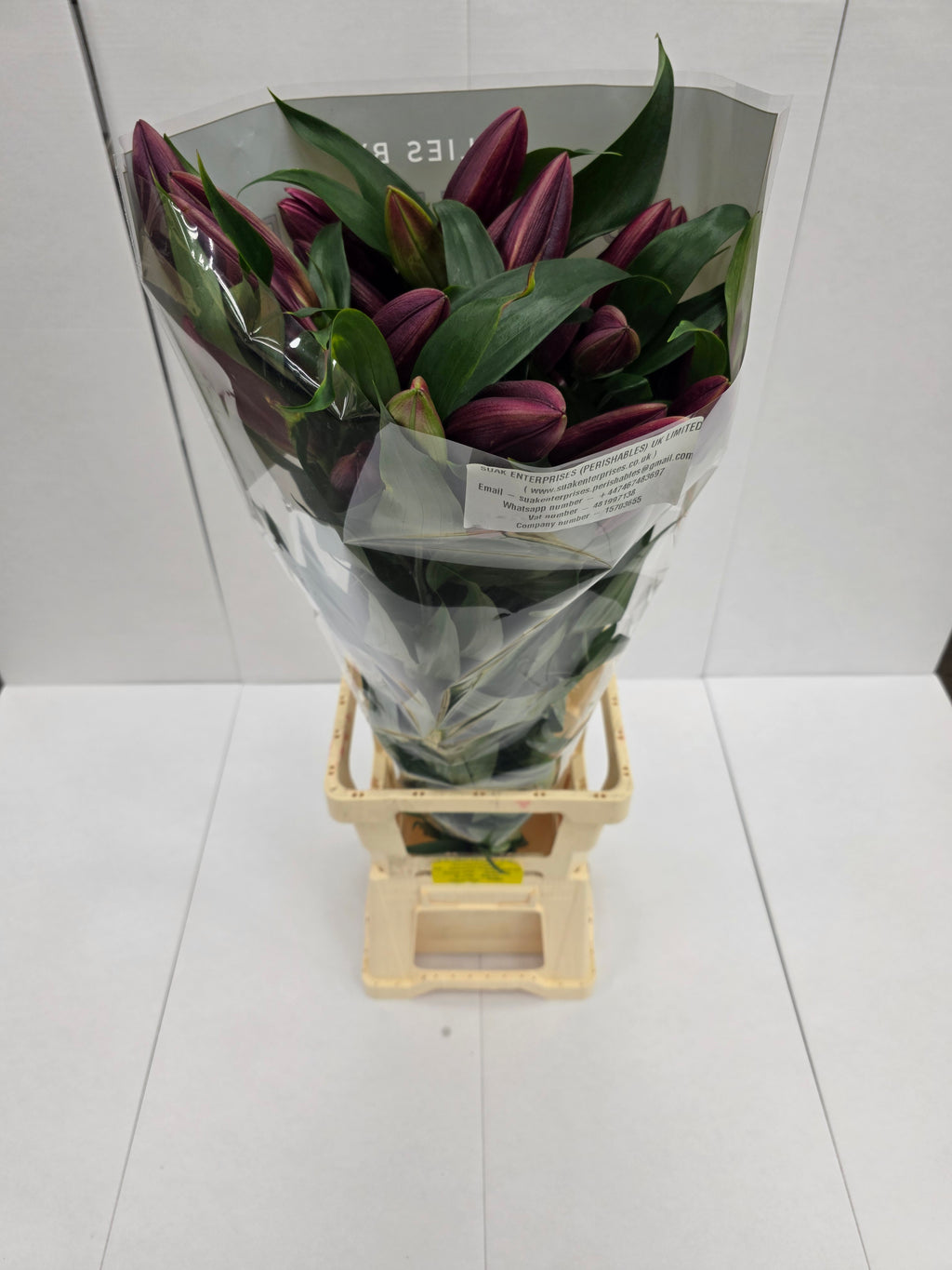 Farm Fresh Lilium Oriental Lasting Love 3+(Bunch of 10stems,Length 95cm)