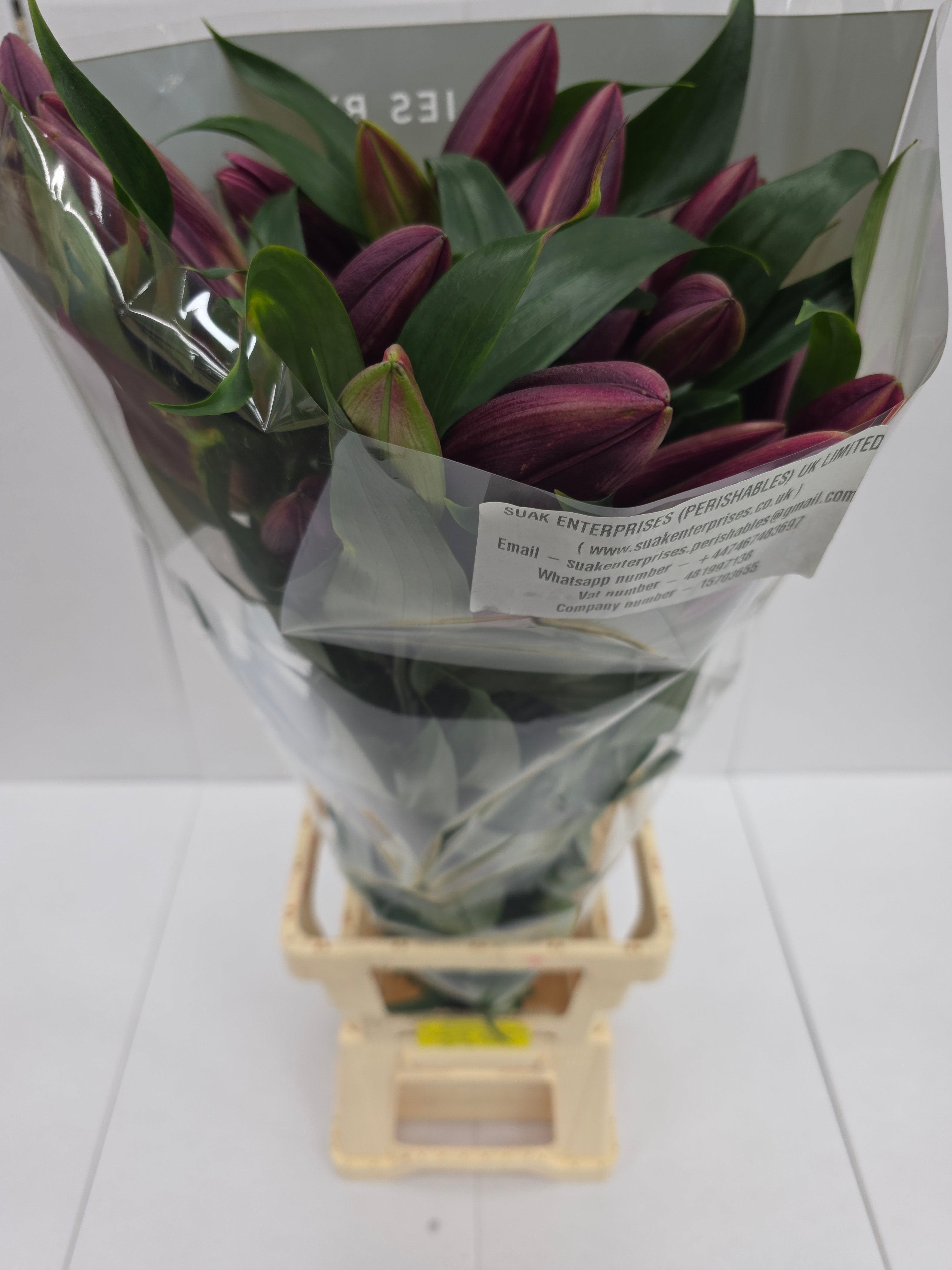 Farm Fresh Lilium Oriental Lasting Love 3+(Bunch of 10stems,Length 95cm)