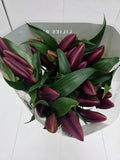 Farm Fresh Lilium Oriental Lasting Love 3+(Bunch of 10stems,Length 95cm)
