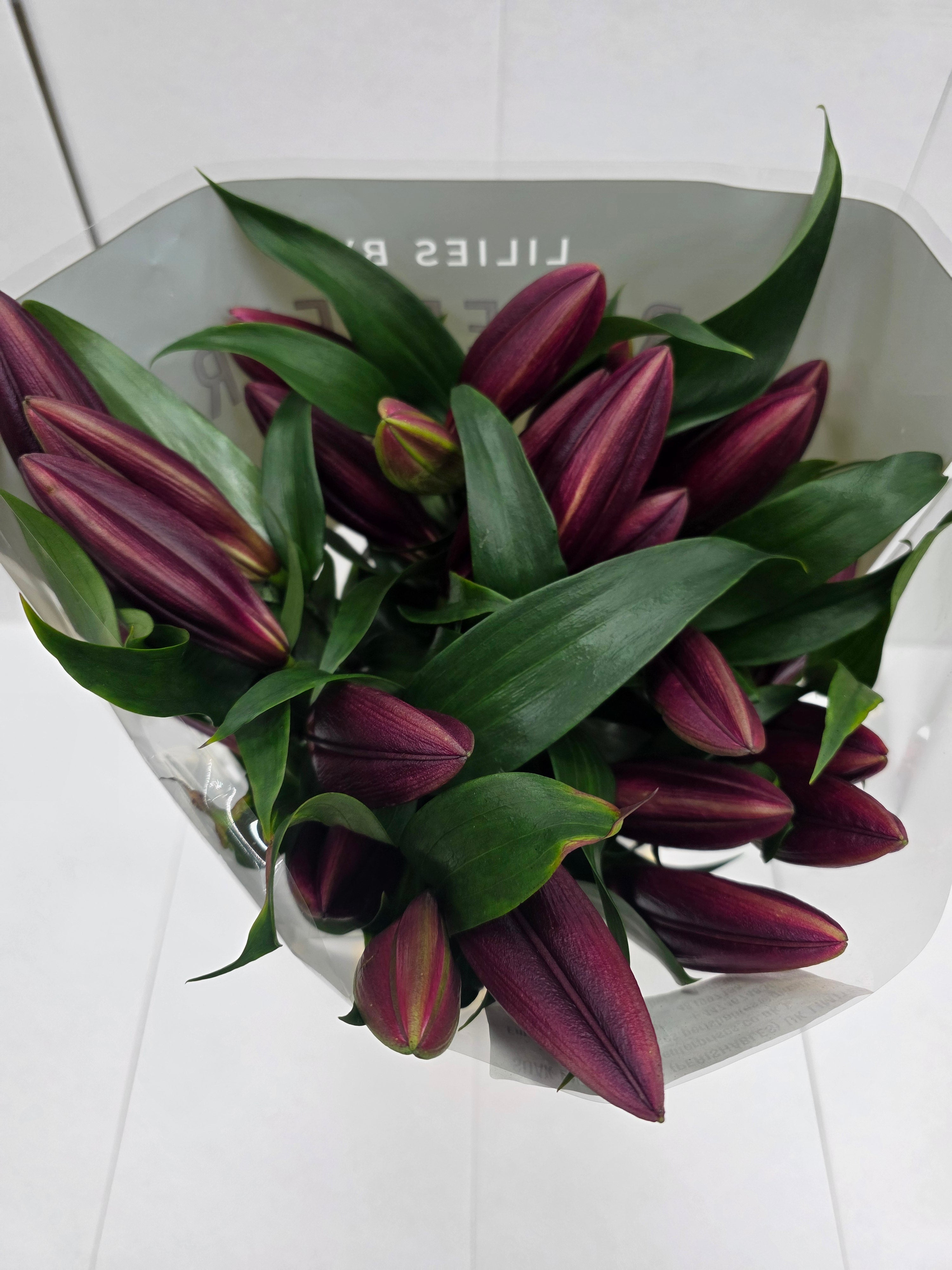 Farm Fresh Lilium Oriental Lasting Love 3+(Bunch of 10stems,Length 95cm)