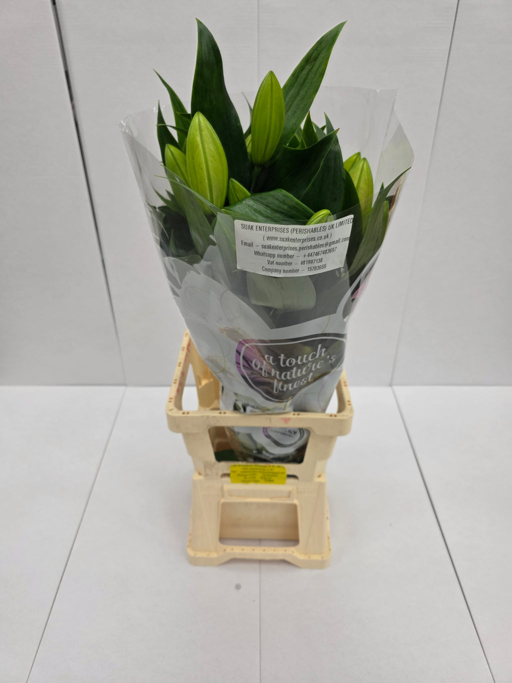 Farm Fresh Lilium Oriental Trocadero 2+(Bunch of 10stems,Length 80cm)