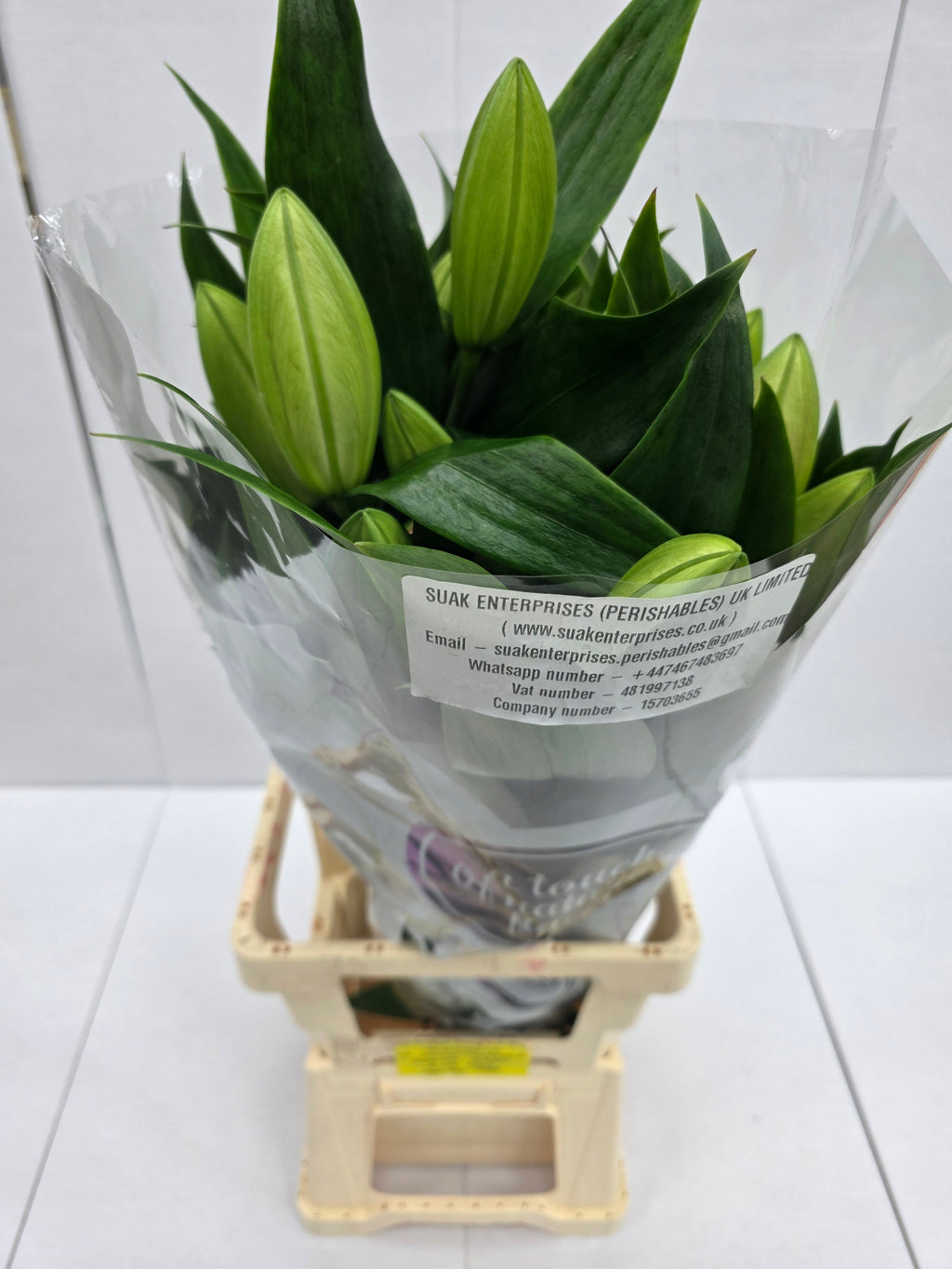 Farm Fresh Lilium Oriental Trocadero 2+(Bunch of 10stems,Length 80cm)