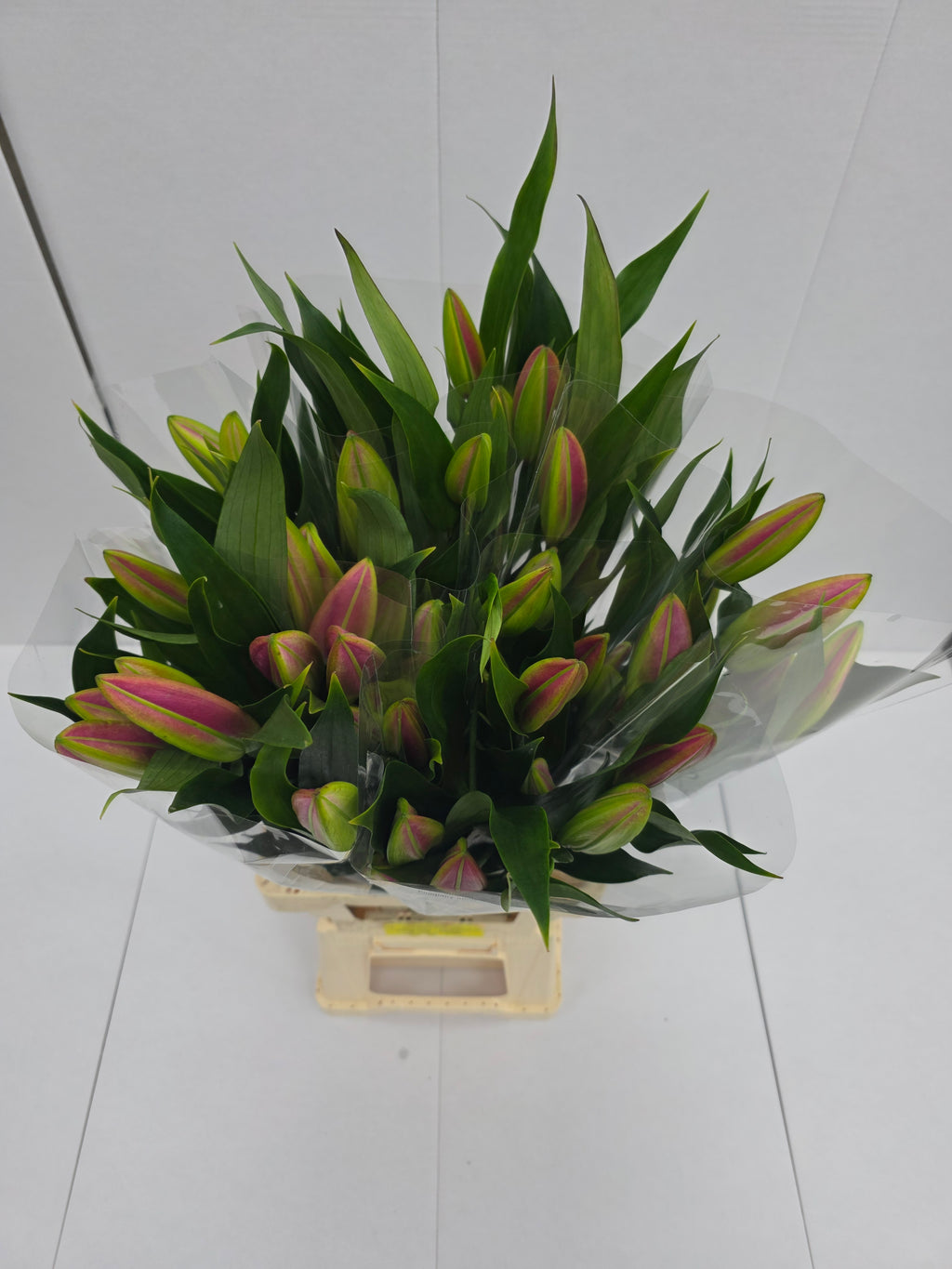 Farm Fresh Lilium Oriental Bq Pink Op 3(Bunch of 10stems,Length 80cm)