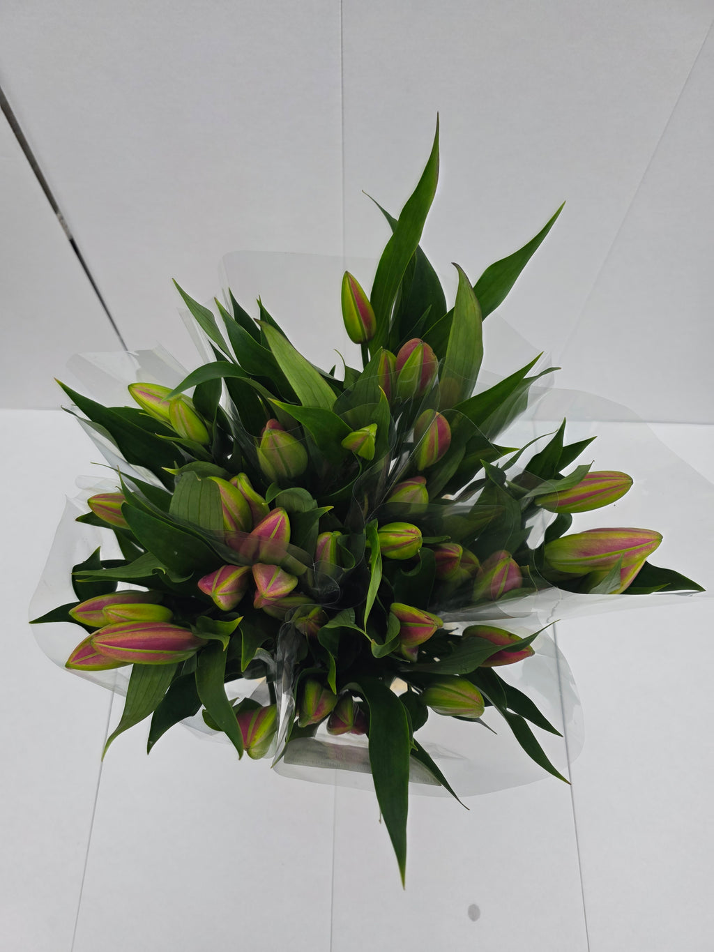 Farm Fresh Lilium Oriental Bq Pink Op 3(Bunch of 10stems,Length 80cm)