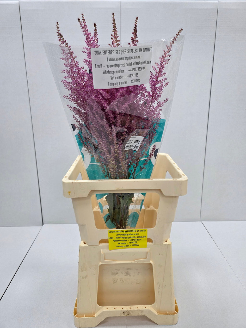 Farm Fresh Astilbe Erika (Bunch of 20 stems, Length 60- 70cm)