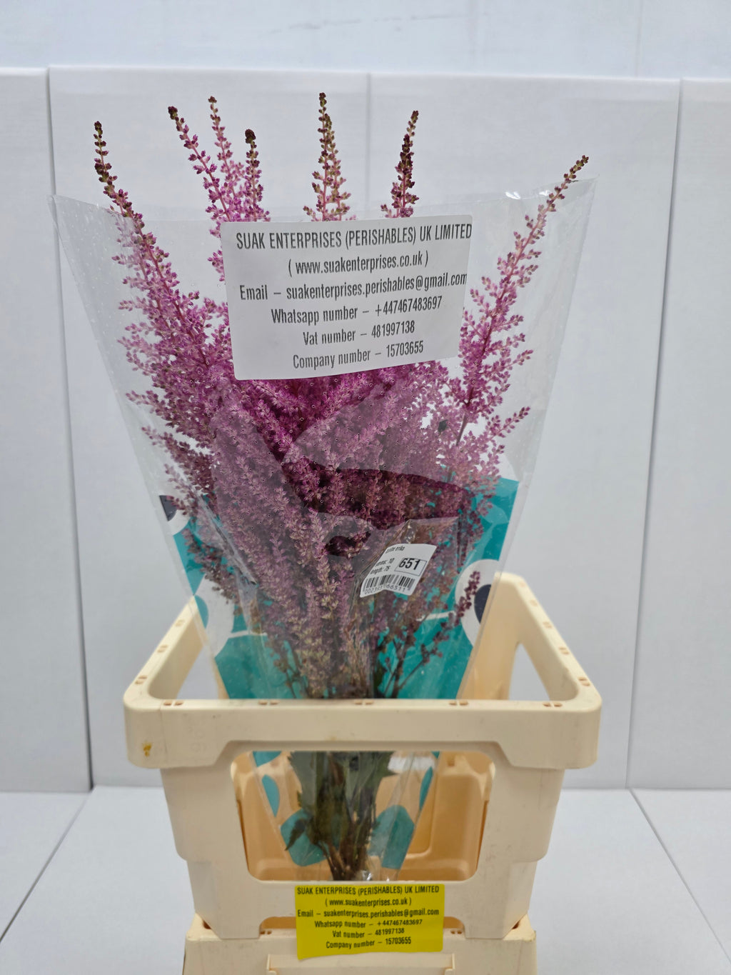 Farm Fresh Astilbe Erika (Bunch of 20 stems, Length 60- 70cm)