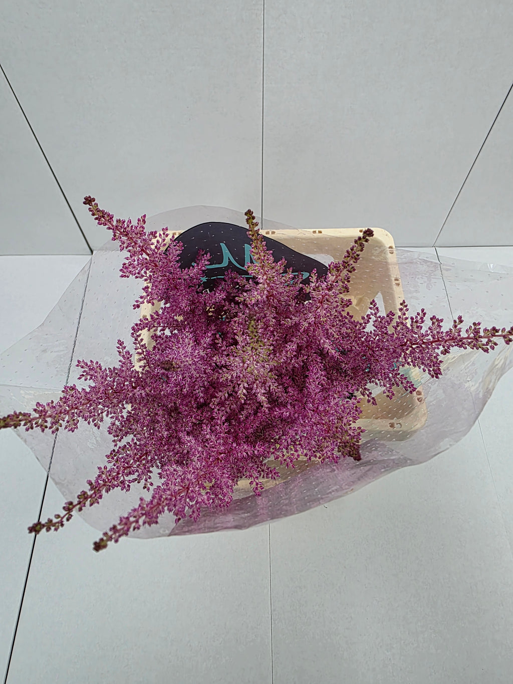 Farm Fresh Astilbe Erika (Bunch of 20 stems, Length 60- 70cm)