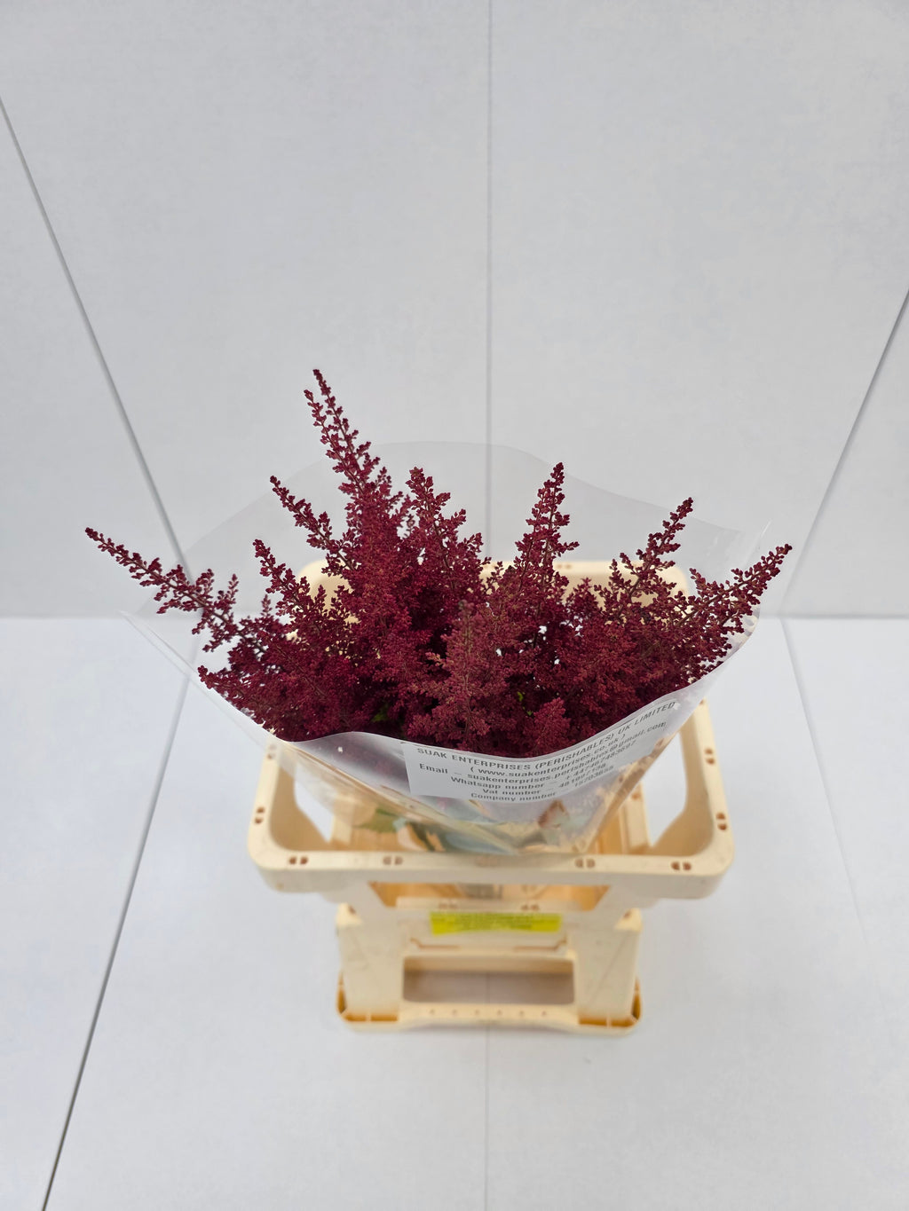 Farm Fresh Astilbe Paul Gaarder (Bunch of 20 stems, Length 60-70cm)