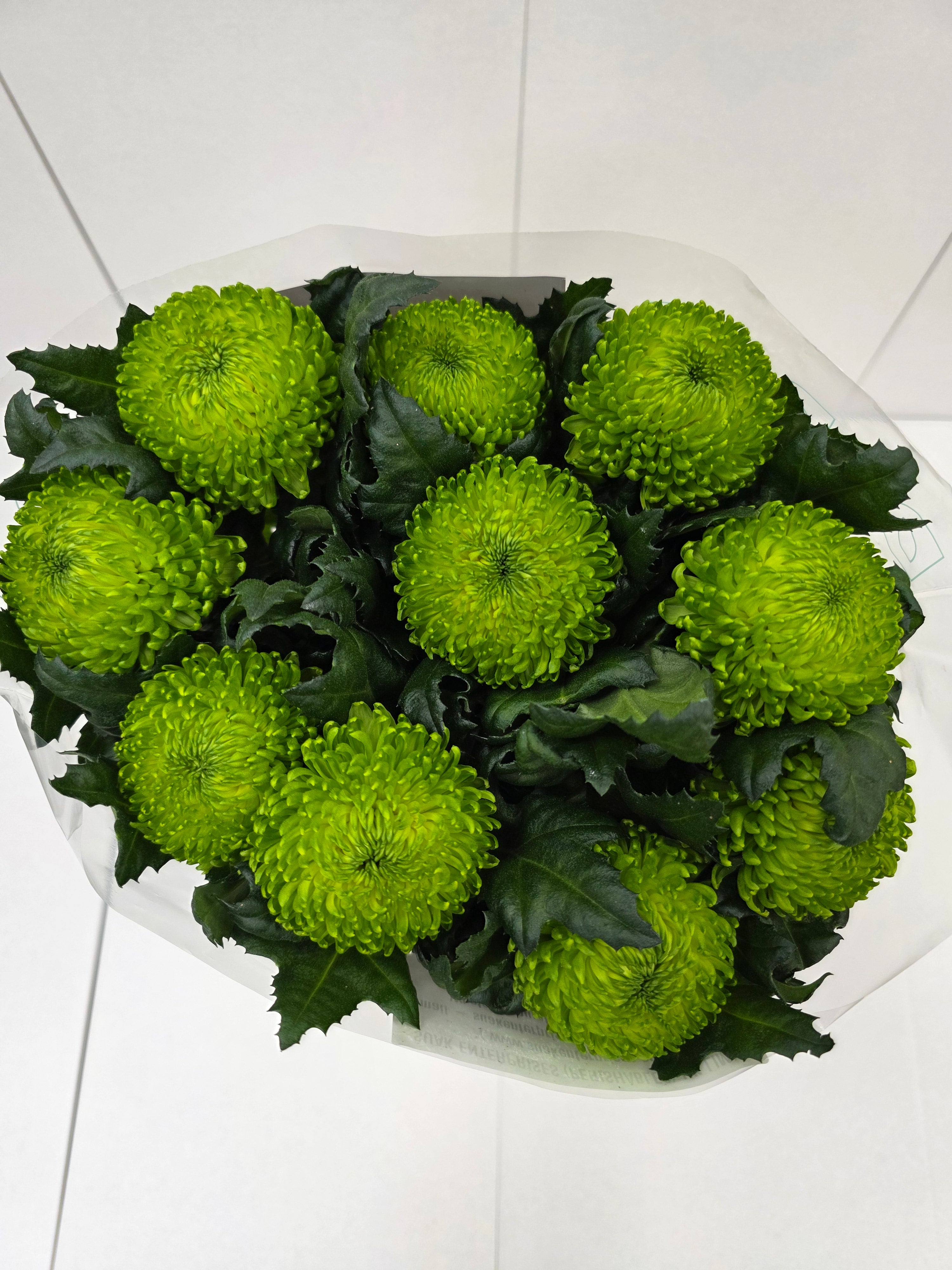 Farm Fresh Chrysanthemum G Alemani (Bunch of 10 stems, Length 70cm)