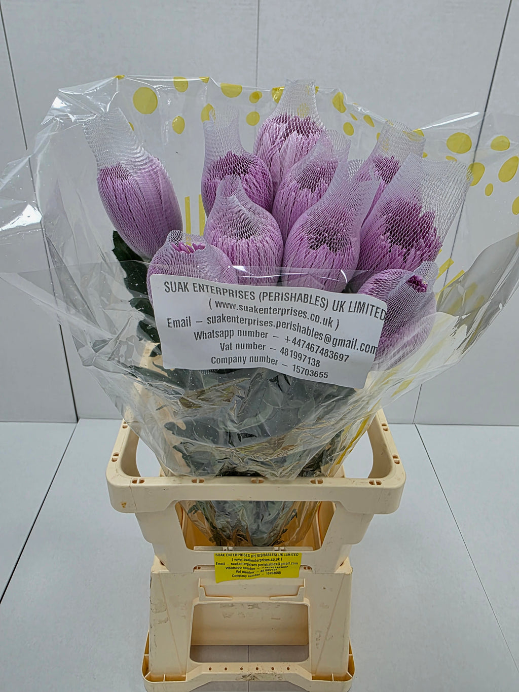 Farm Fresh Chrysanthemum G Anastasia Pink (Bunch of 10units, Length 70cm)