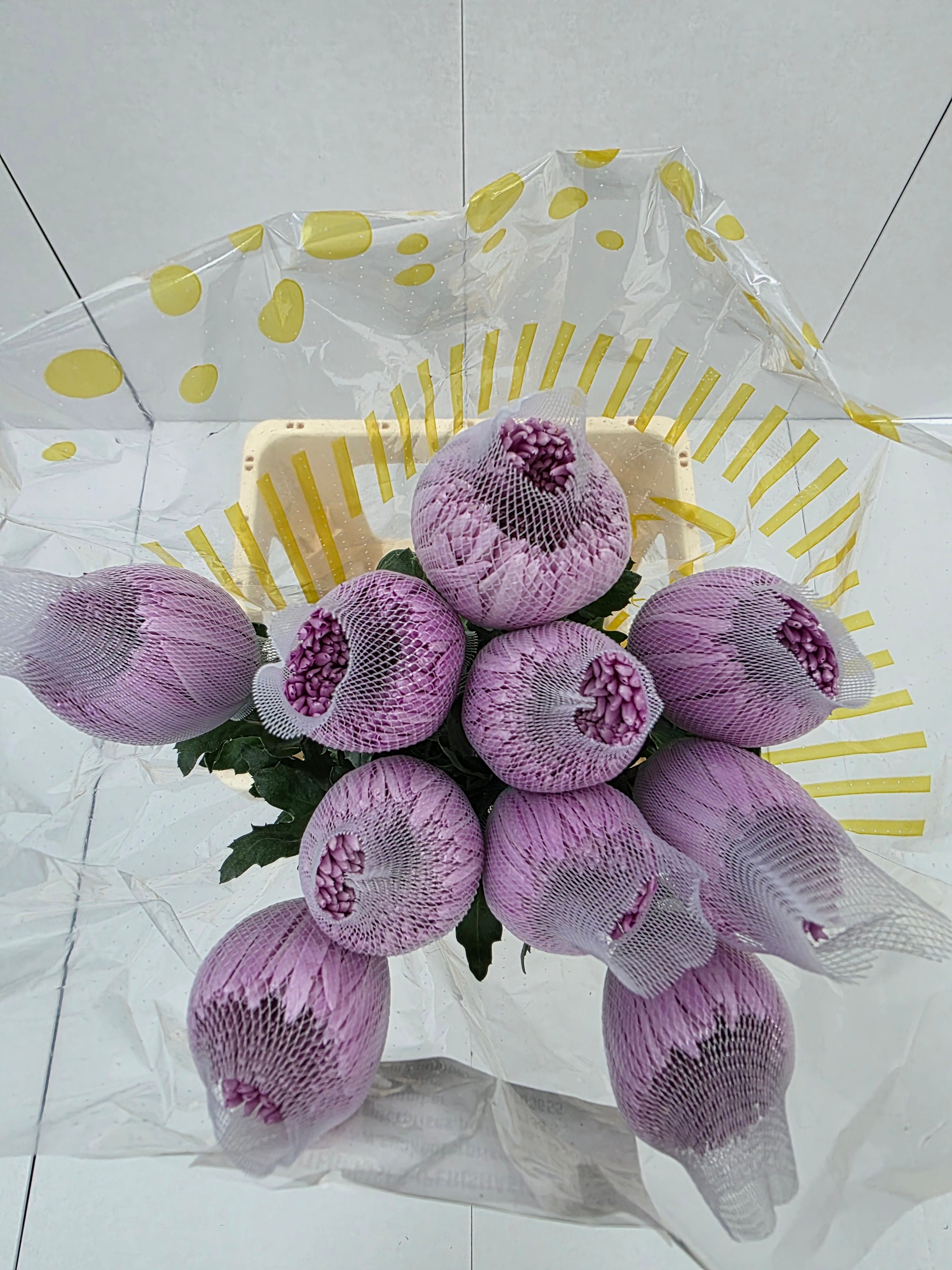 Farm Fresh Chrysanthemum G Anastasia Pink (Bunch of 10units, Length 70cm)