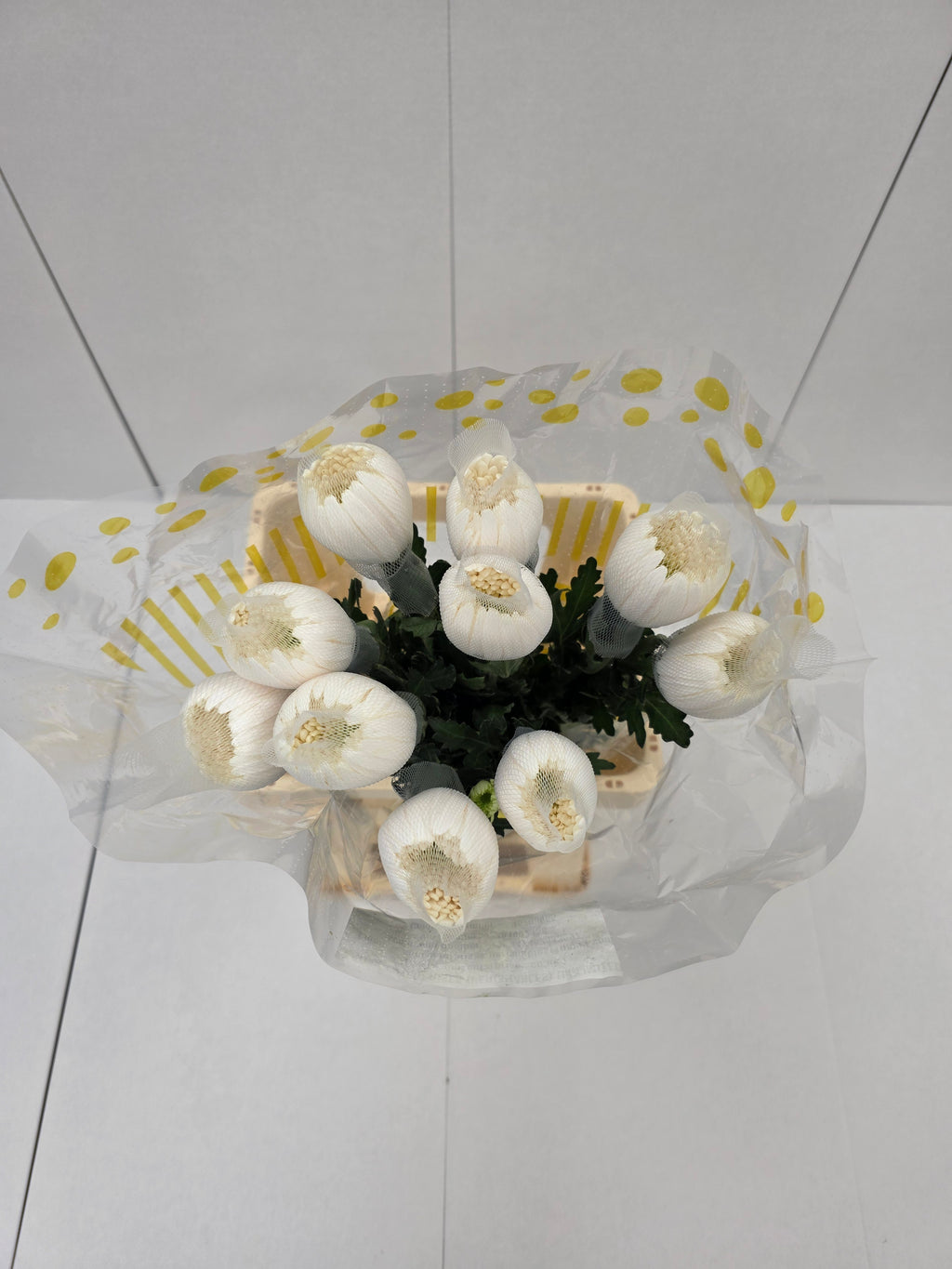 Farm Fresh Chrysanthemum G Anastasia White(Bunch of 10units, Length 70cm)