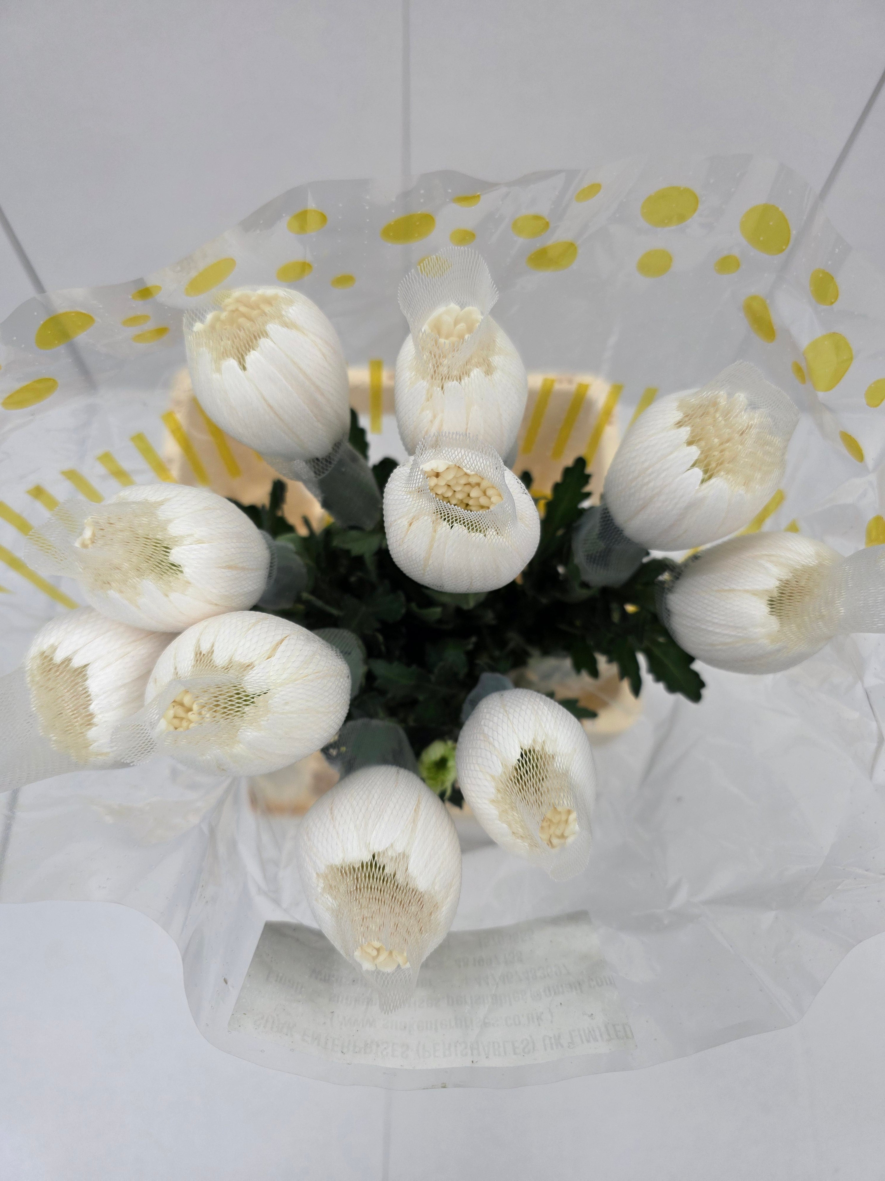 Farm Fresh Chrysanthemum G Anastasia White(Bunch of 10units, Length 70cm)