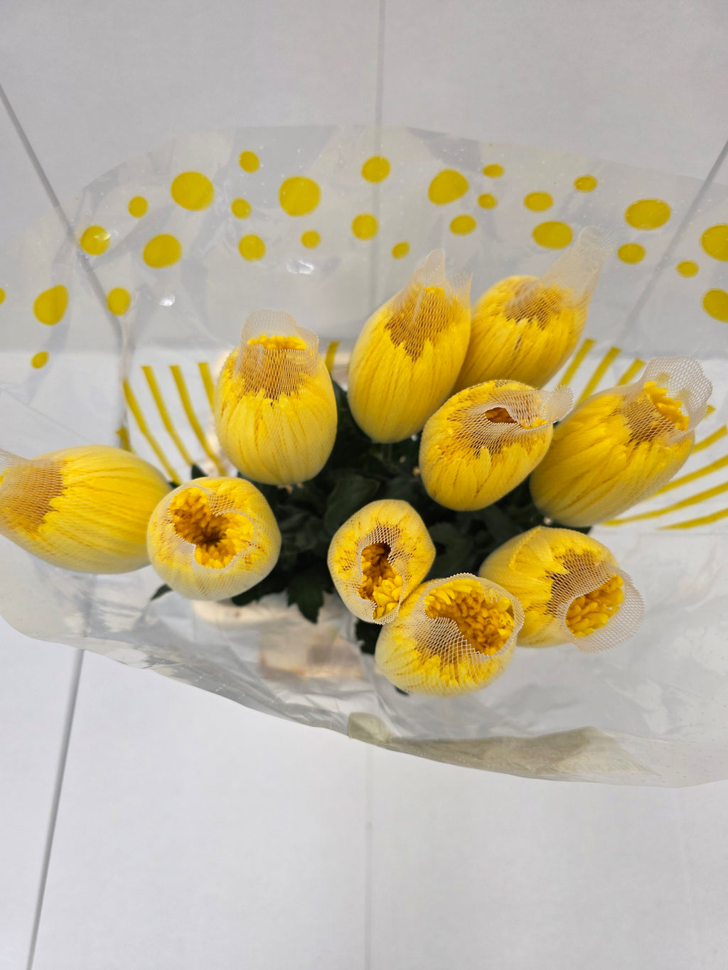 Farm Fresh Chrysanthemum G Anastasia Yellow Import (Bunch of 10units, Length 70cm)