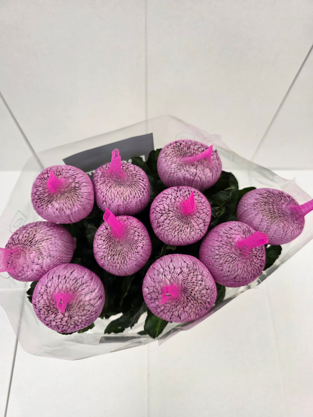 Farm Fresh Chrysanthemum G Couture(Bunch of 10 stems, Length 70cm)