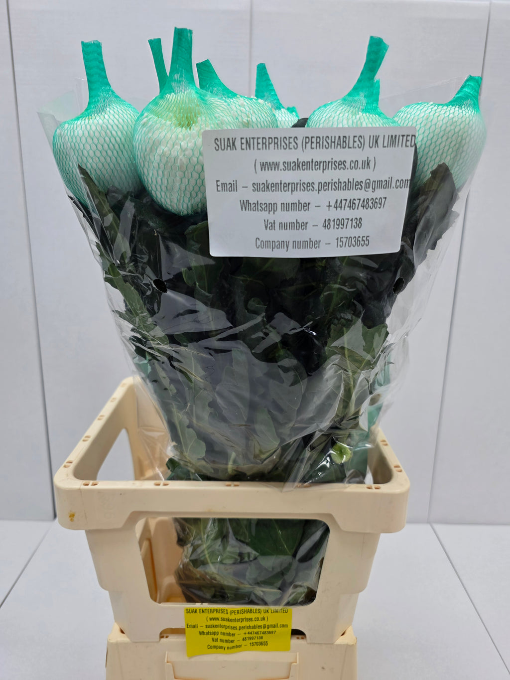 Farm Fresh Chrysanthemum G Magnum (Bunch of 2 stems,Length 70cm)