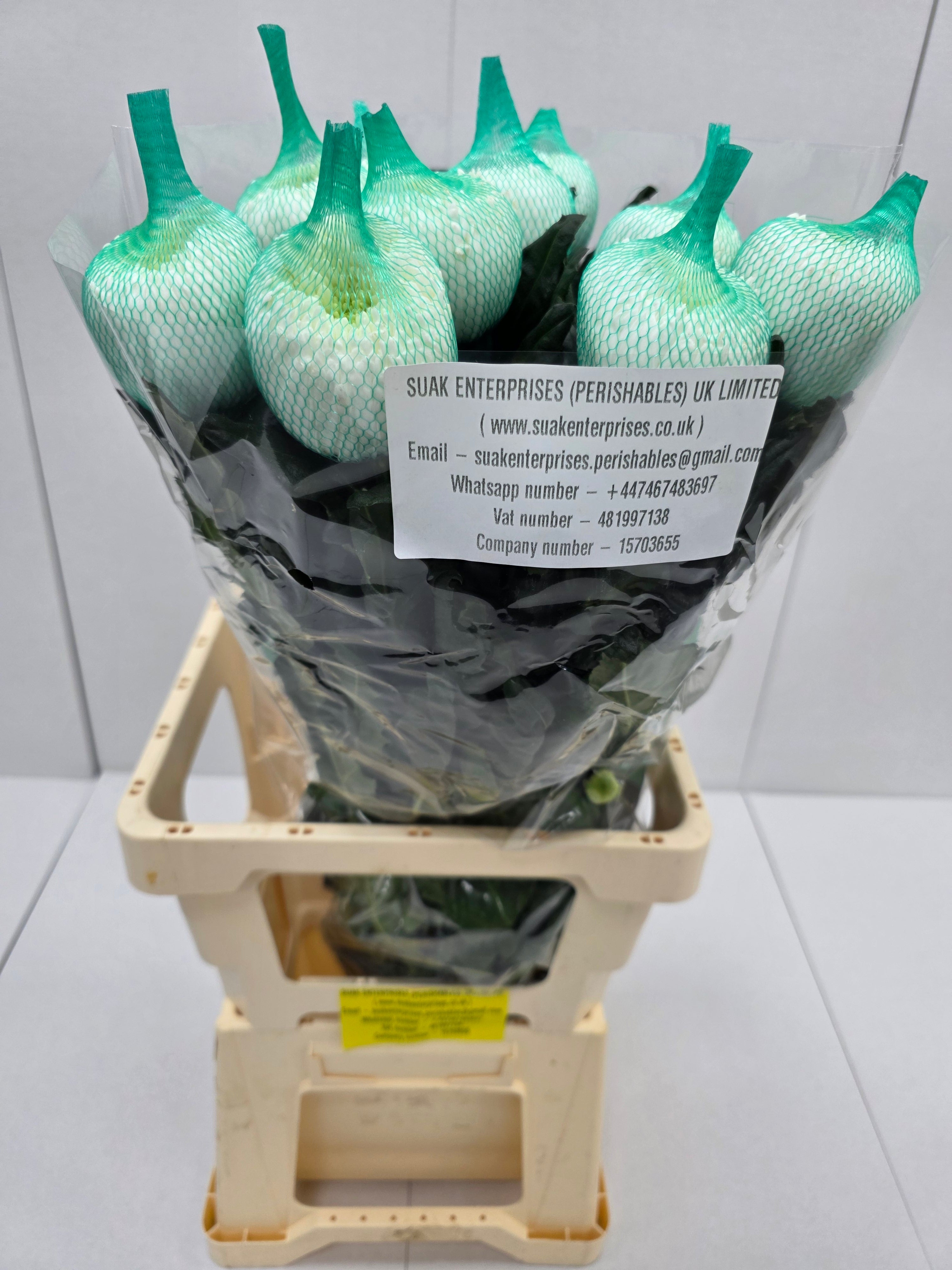 Farm Fresh Chrysanthemum G Magnum (Bunch of 2 stems,Length 70cm)