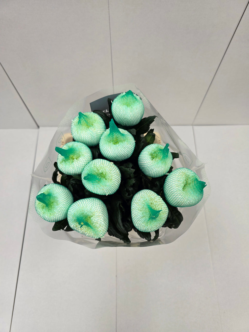 Farm Fresh Chrysanthemum G Magnum (Bunch of 2 stems,Length 70cm)