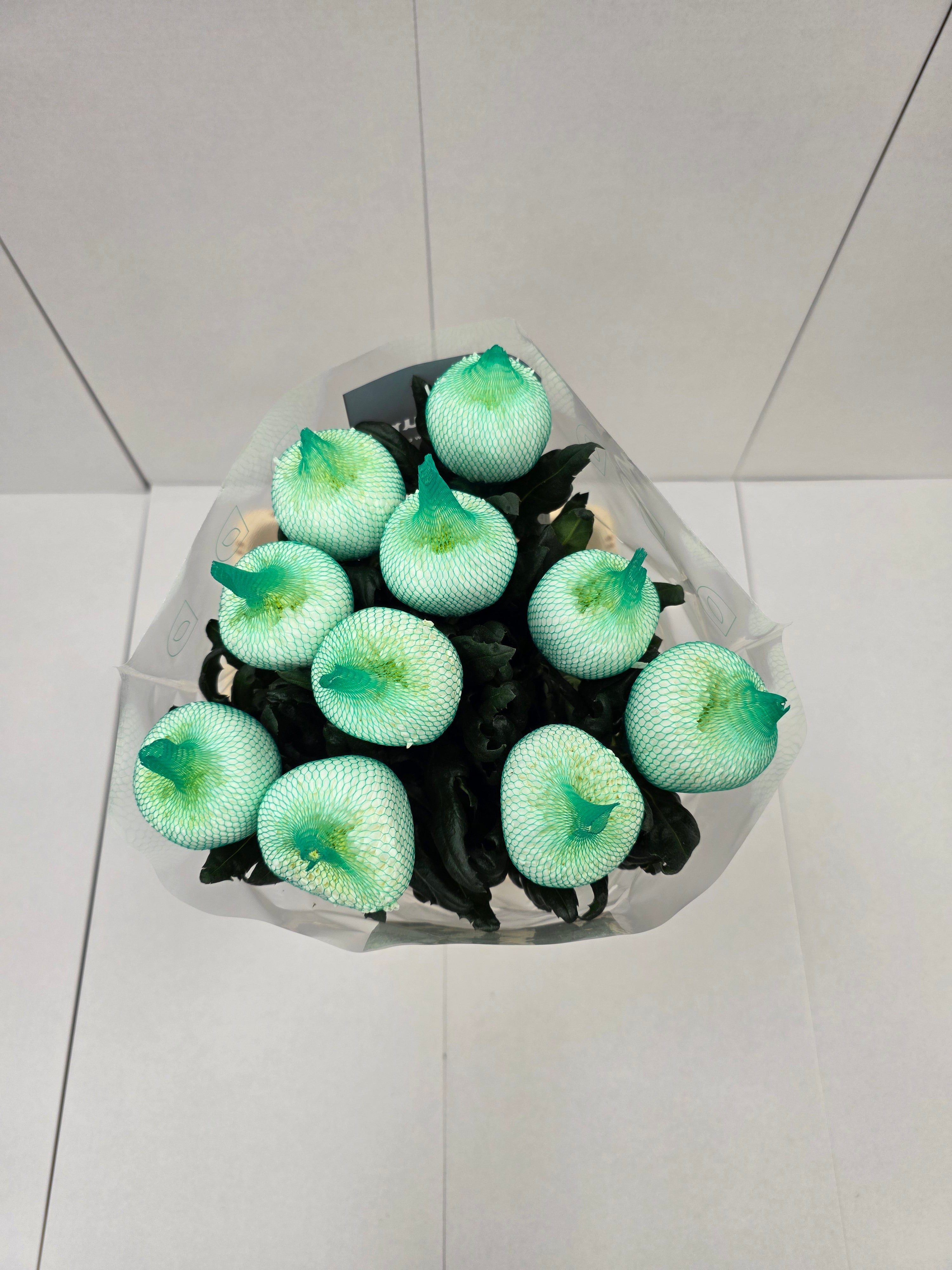 Farm Fresh Chrysanthemum G Magnum (Bunch of 2 stems,Length 70cm)