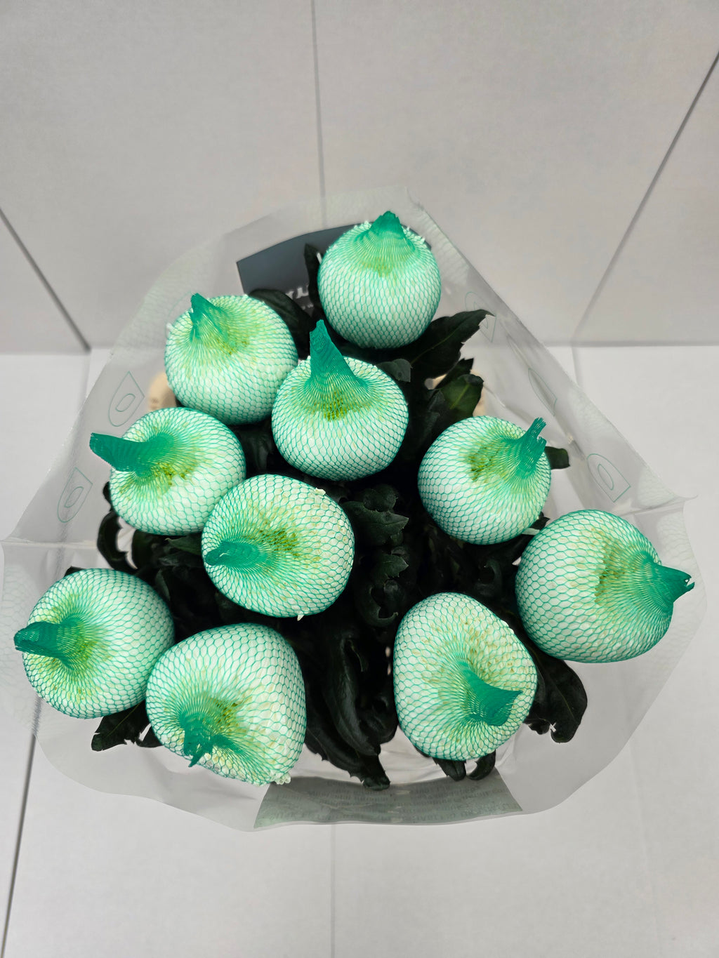 Farm Fresh Chrysanthemum G Magnum (Bunch of 2 stems,Length 70cm)