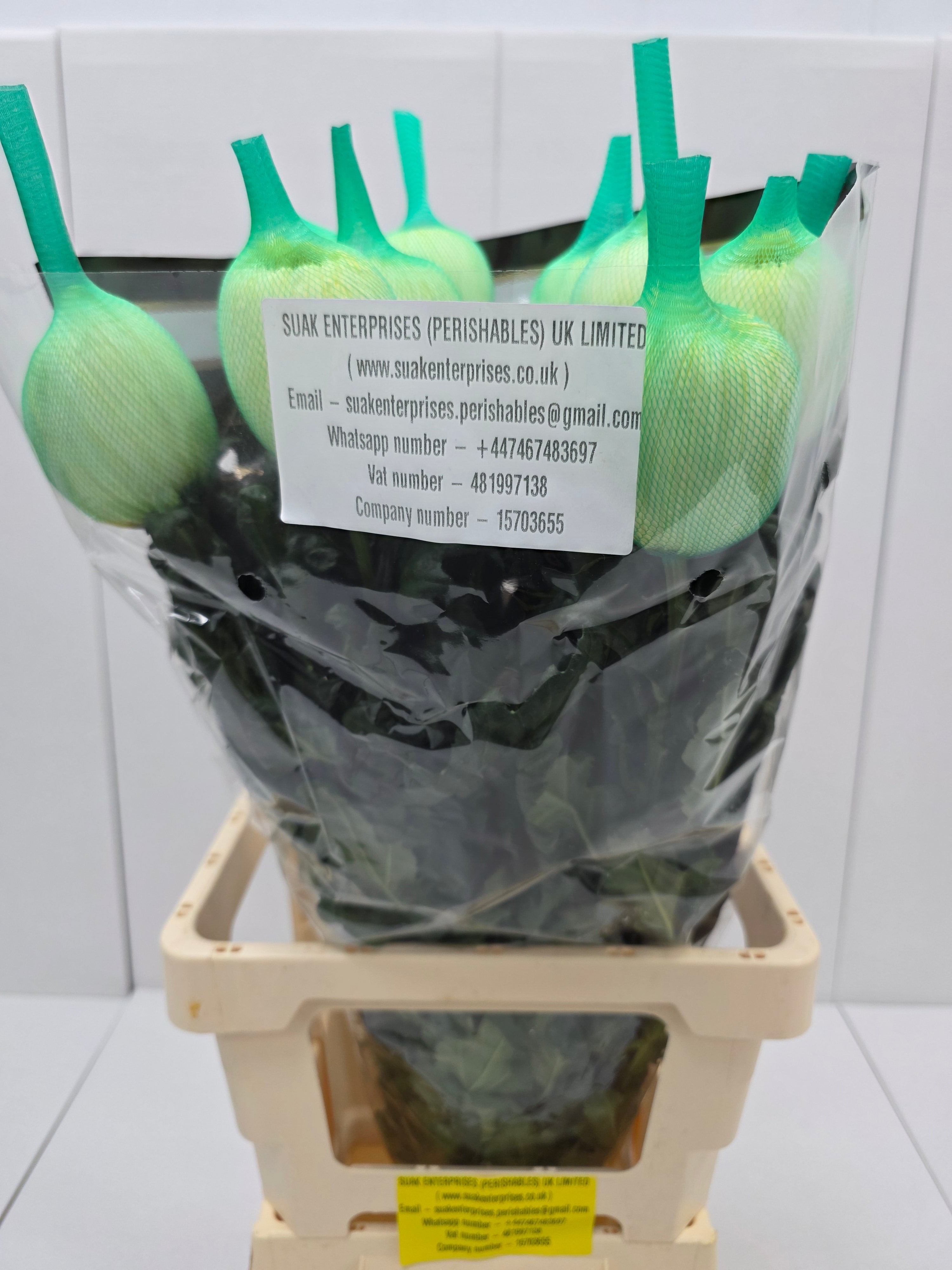 Farm Fresh Chrysanthemum G Magnum Yellow (Bunch of 10 stems, Length 70cm)