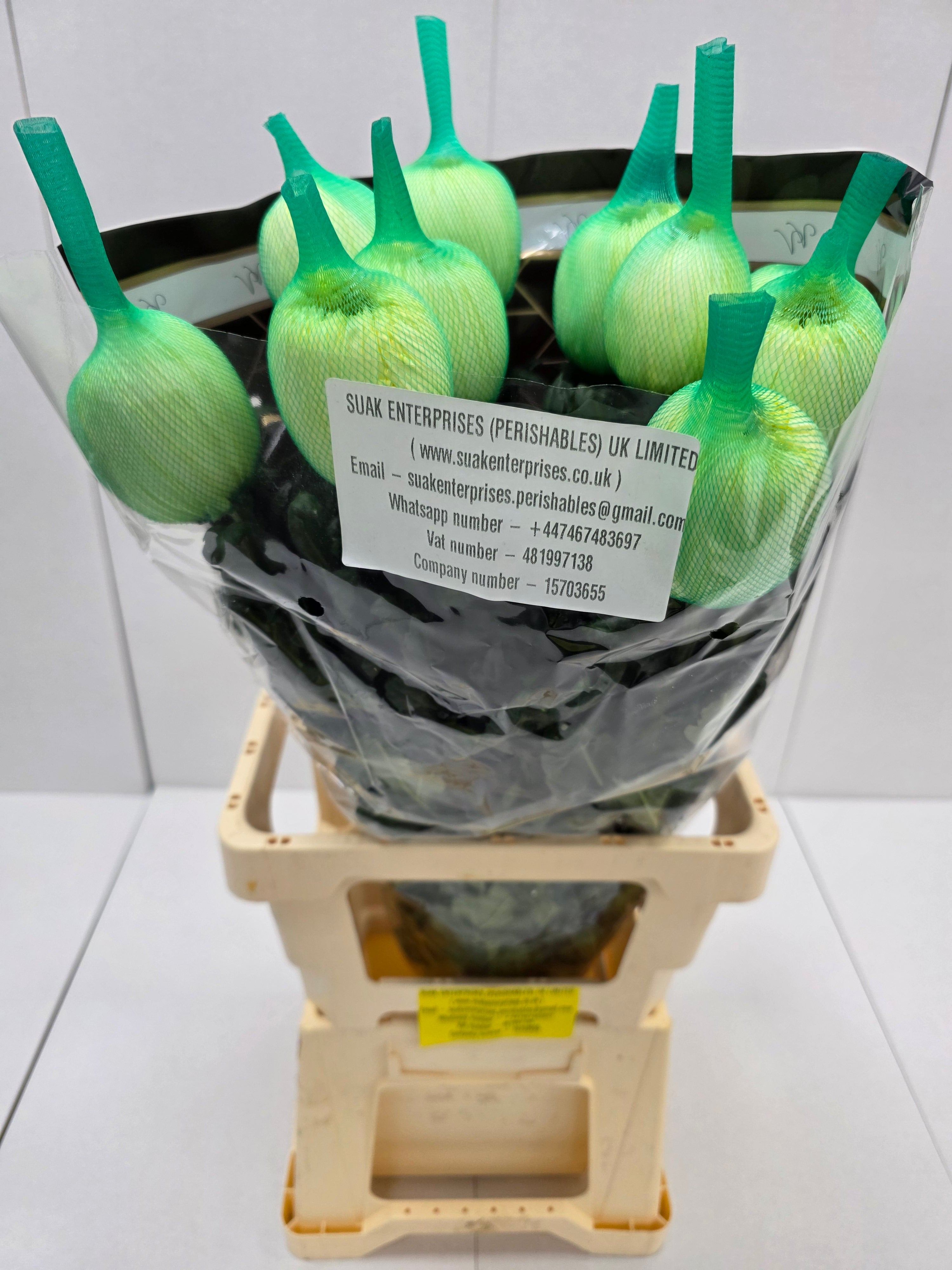 Farm Fresh Chrysanthemum G Magnum Yellow (Bunch of 10 stems, Length 70cm)