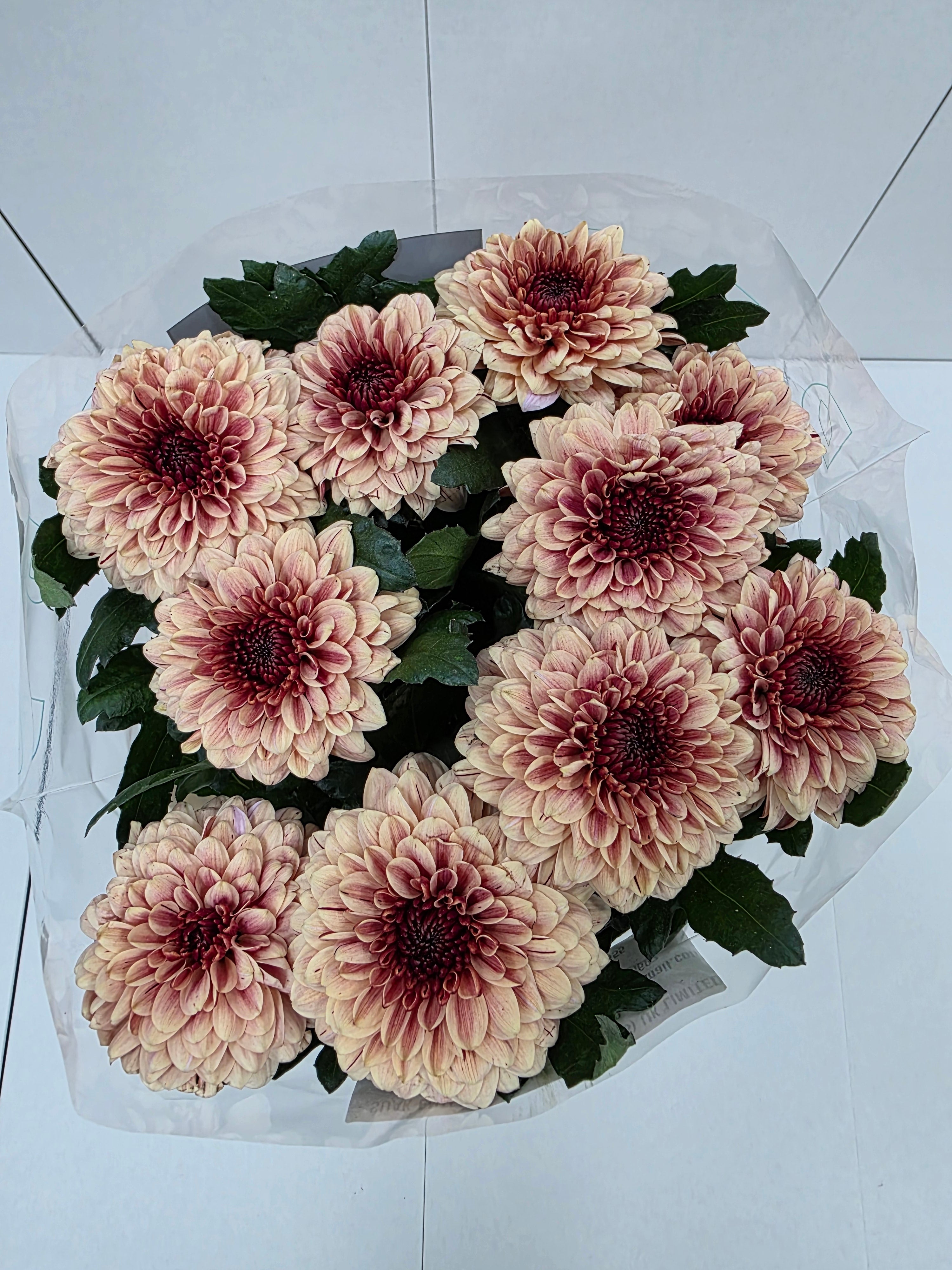 Farm Fresh Chrysanthemum G Pip Salmon (Bunch of 10 stems, Length 70cm)