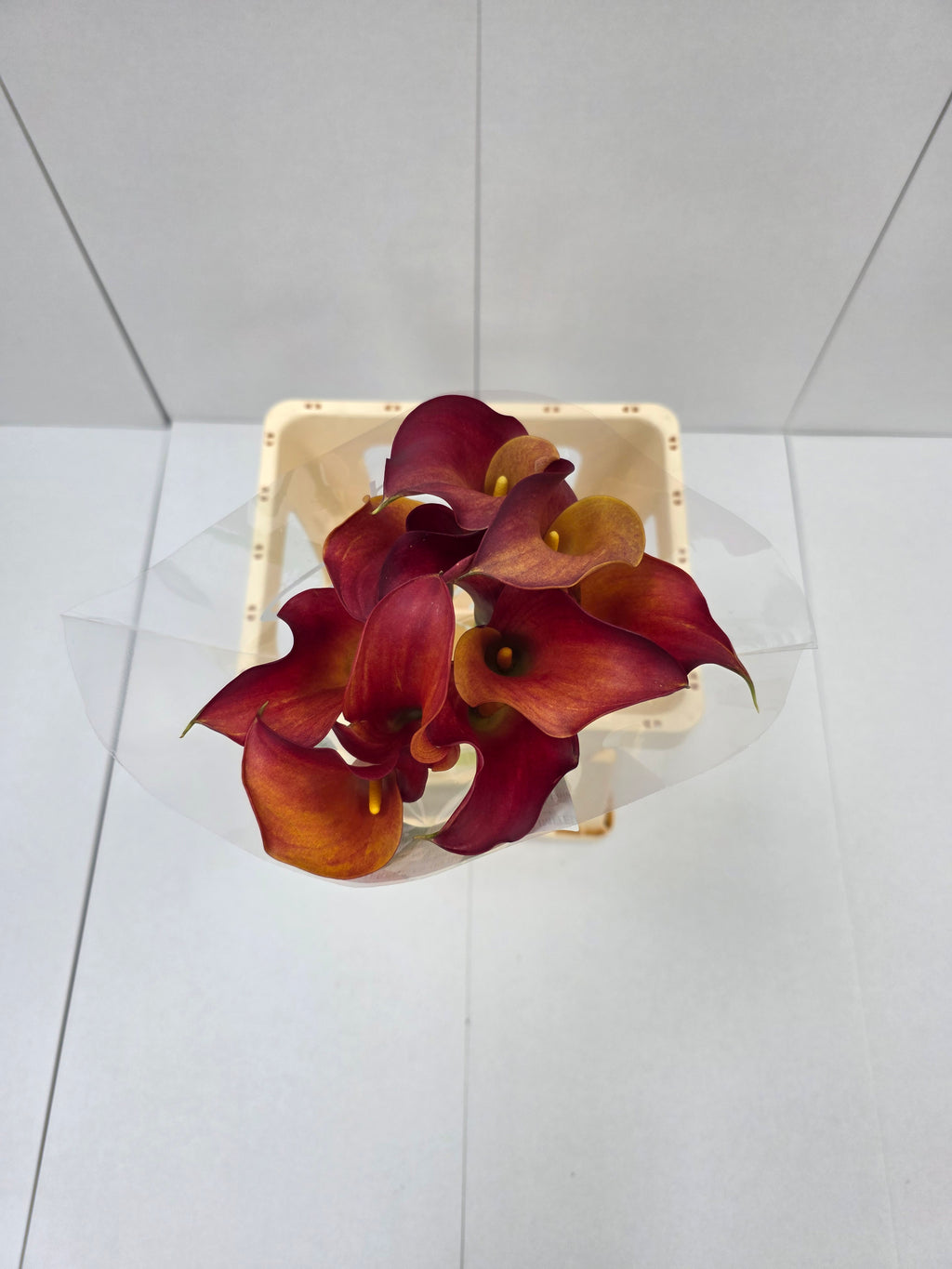 Farm Fresh Calla/Zantedeschia Capt Trinity (Bunch of 10stems, length 70cm)