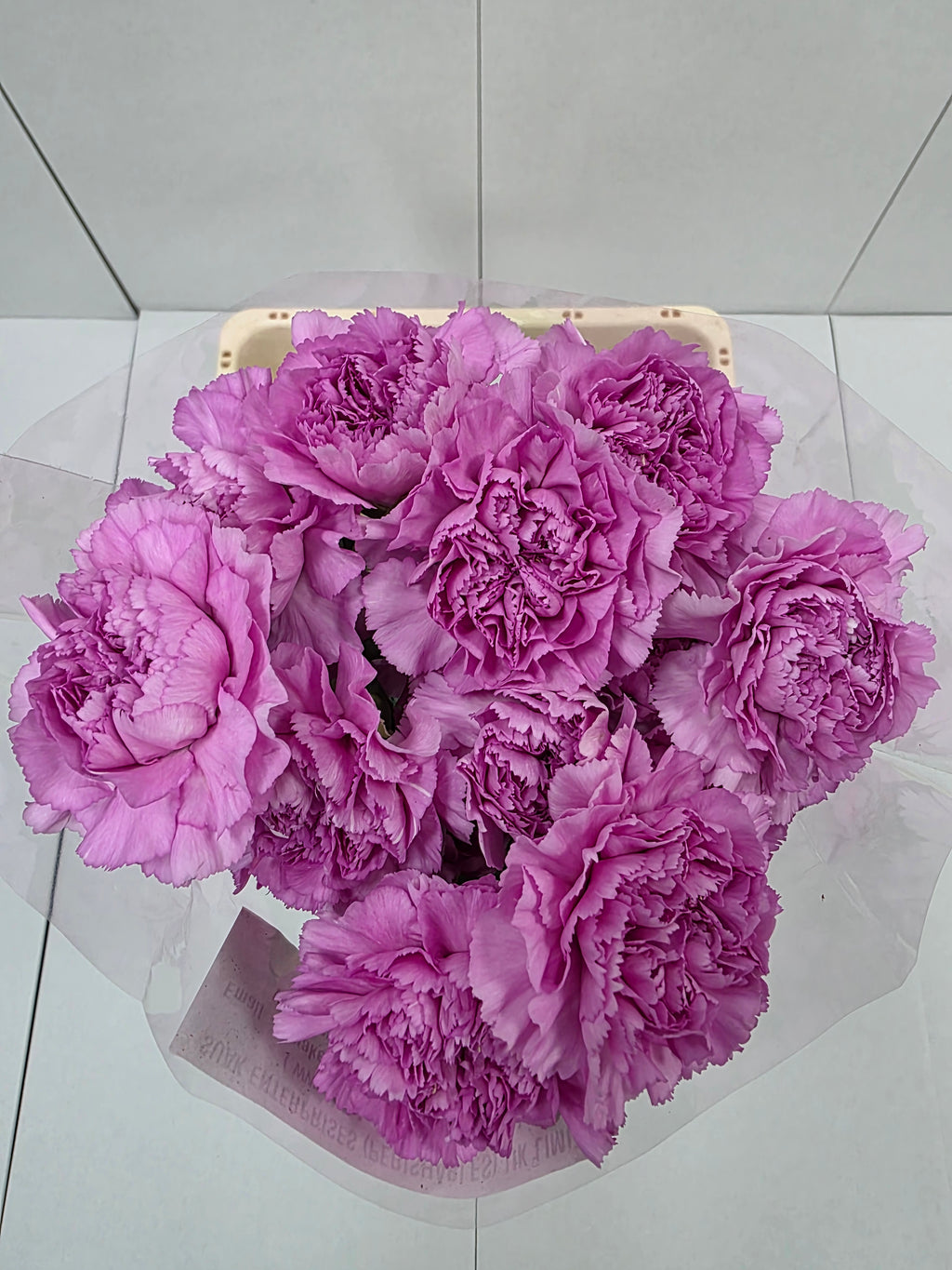 Farm Fresh Carnation Birmania(Bunch of 20 stems, Length 70cm)