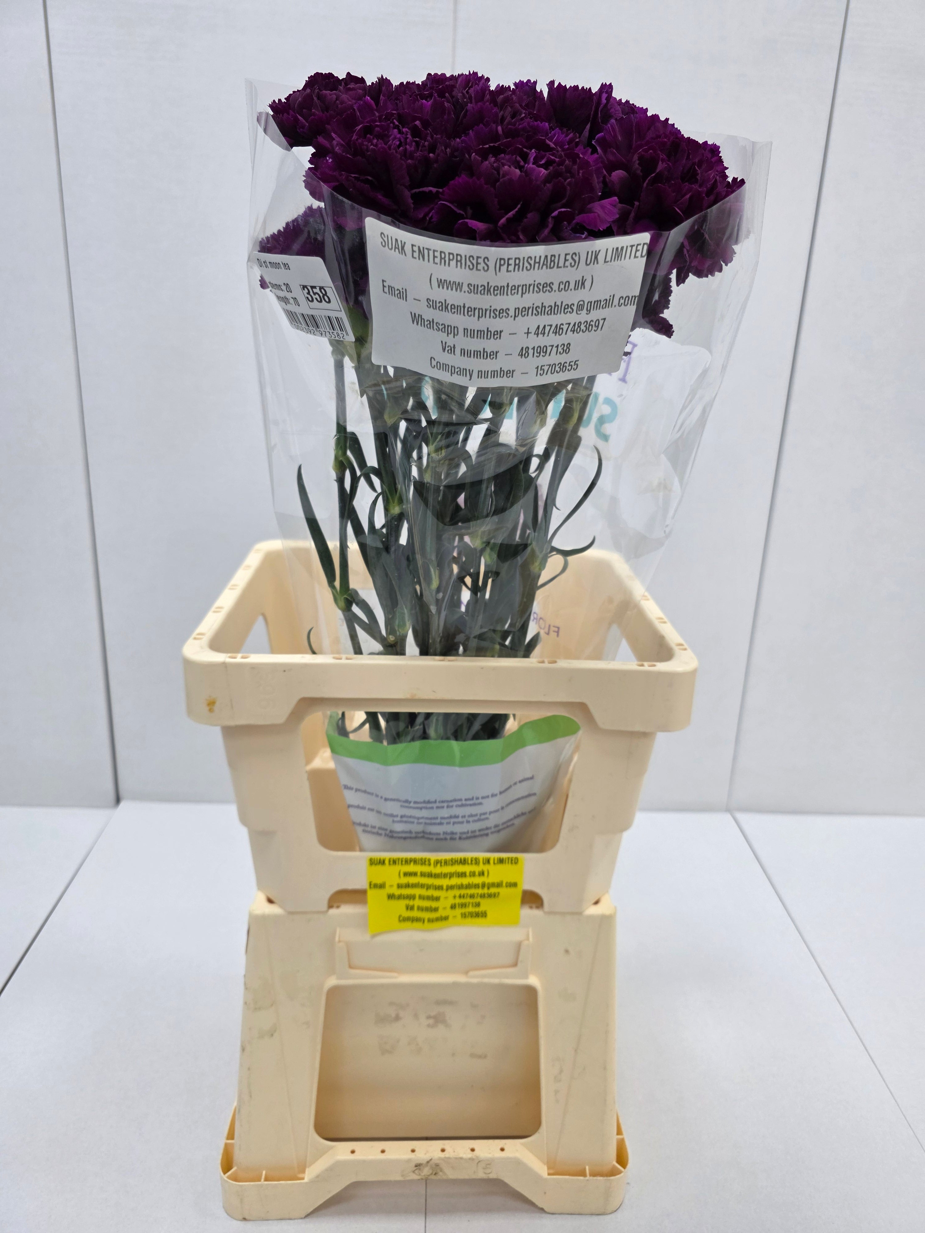 Farm Fresh Carnation Moon Tea ( Bunch of 20 stems, Length 70cm)