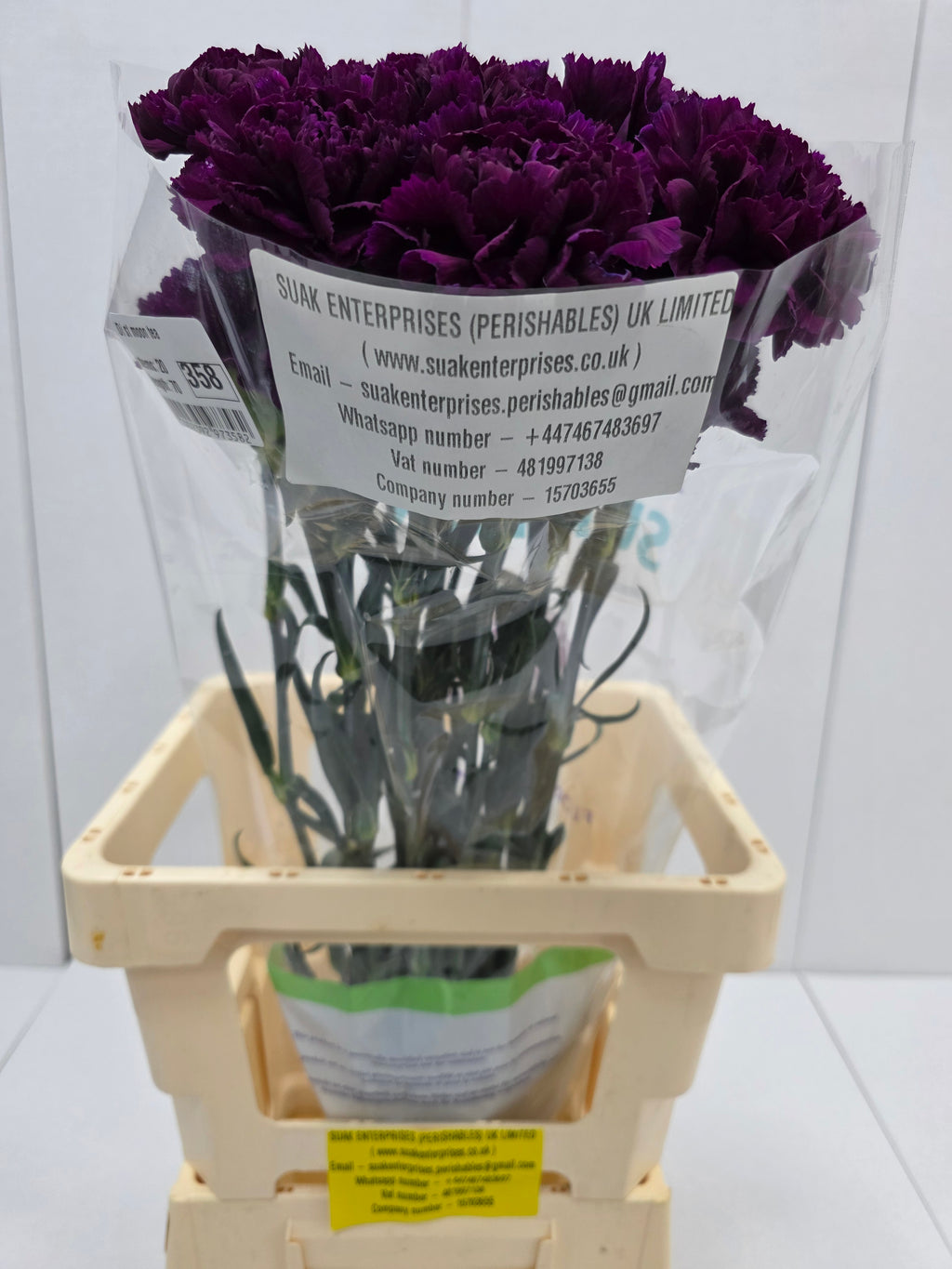Farm Fresh Carnation Moon Tea ( Bunch of 20 stems, Length 70cm)