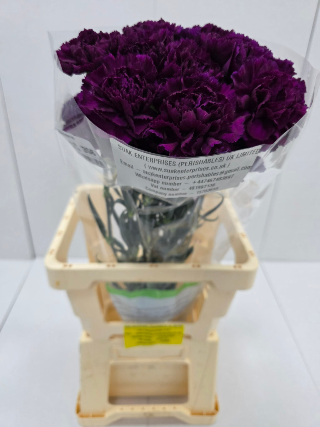 Farm Fresh Carnation Moon Tea ( Bunch of 20 stems, Length 70cm)