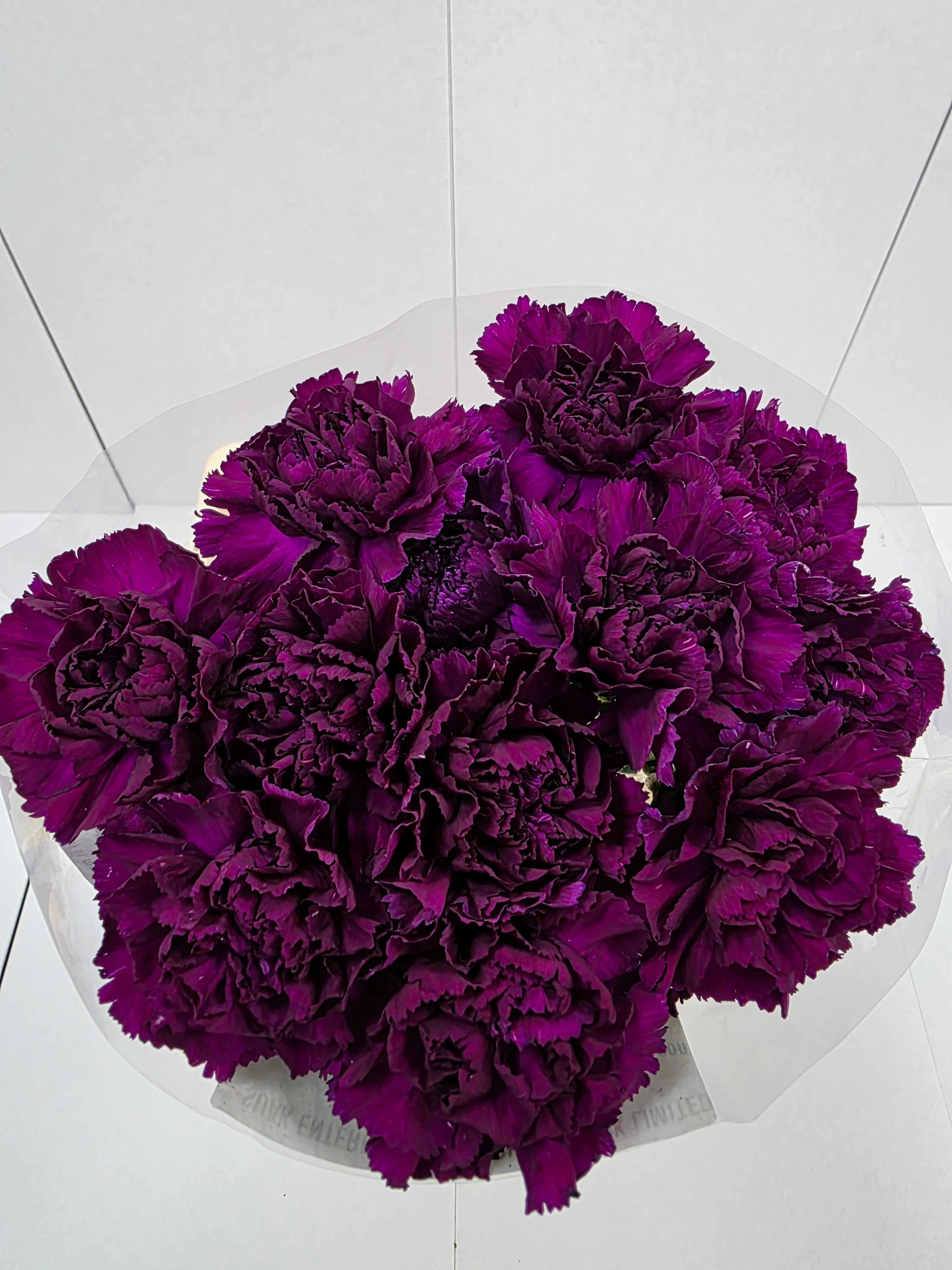 Farm Fresh Carnation Moon Tea ( Bunch of 20 stems, Length 70cm)