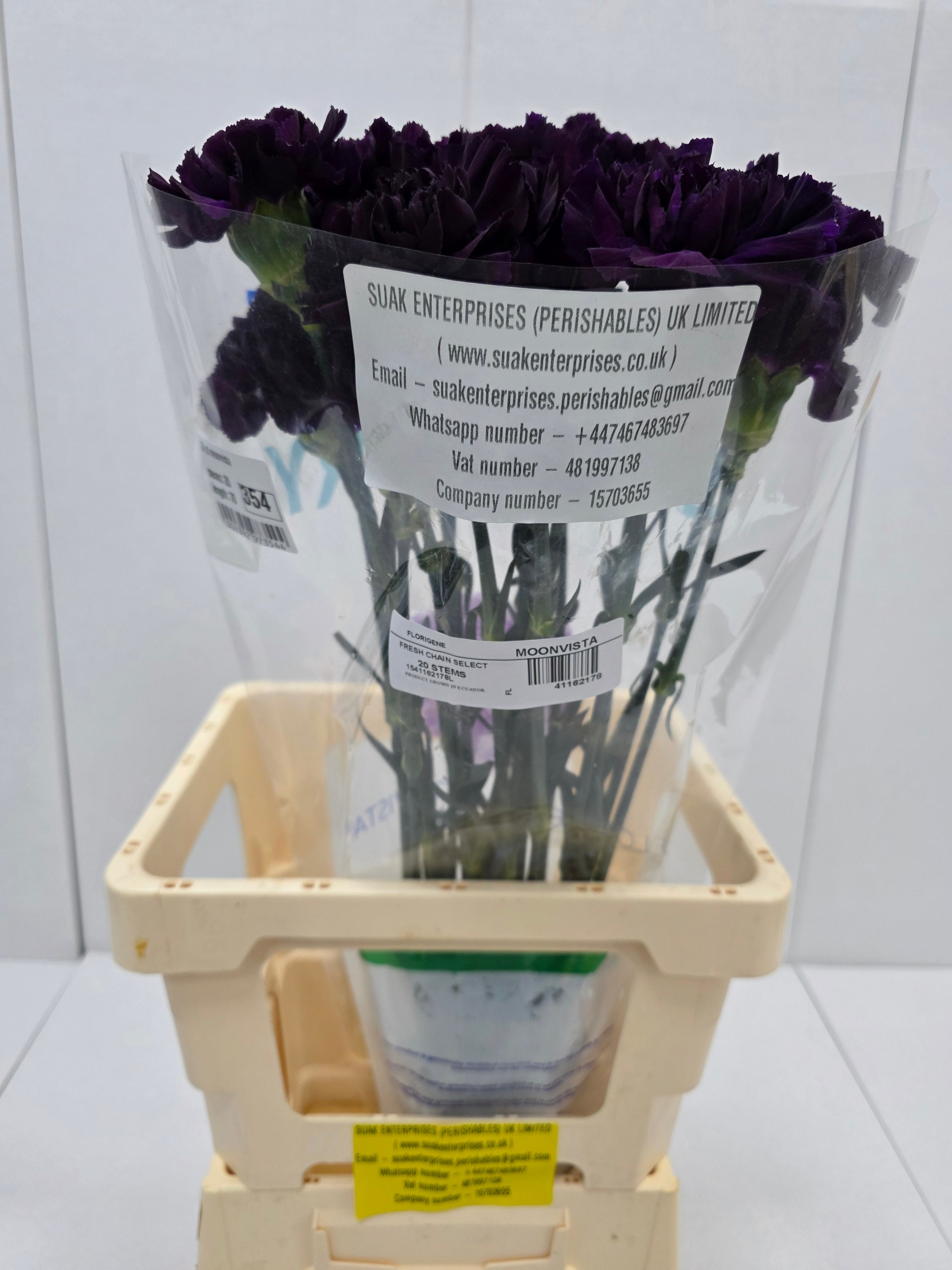 Farm Fresh Carnation Moonvista (Bunch of 20stems, Length 70cm)