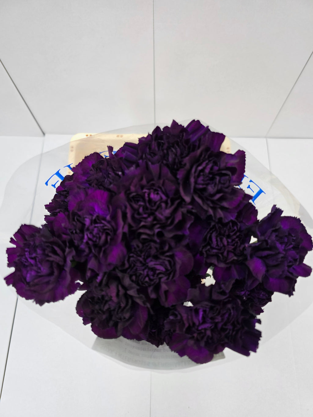 Farm Fresh Carnation Moonvista (Bunch of 20stems, Length 70cm)
