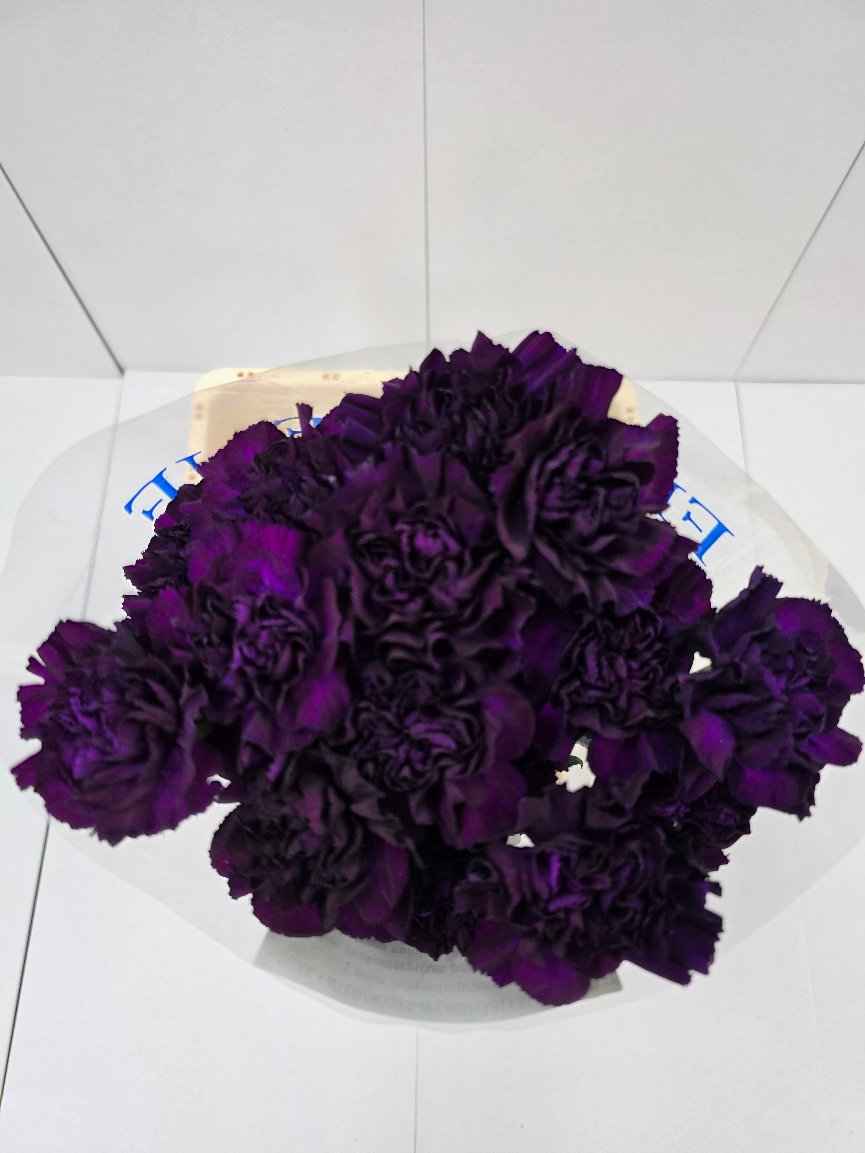 Farm Fresh Carnation Moonvista (Bunch of 20stems, Length 70cm)
